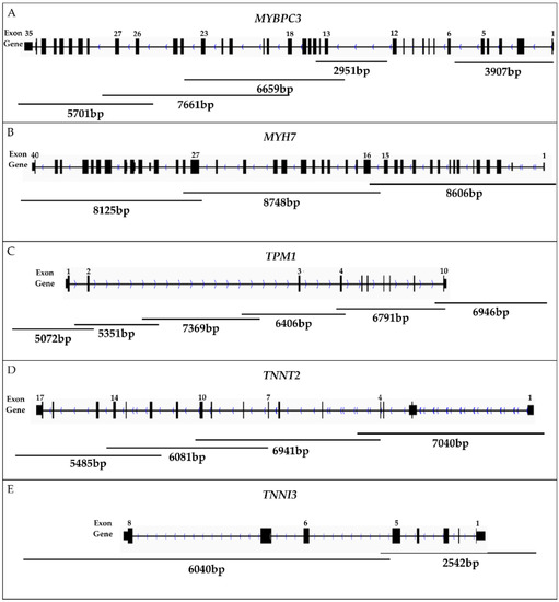 Application of Long-Read Nanopore Sequencing to the Search Application of Long-Read Nanopore Sequencing to the Search