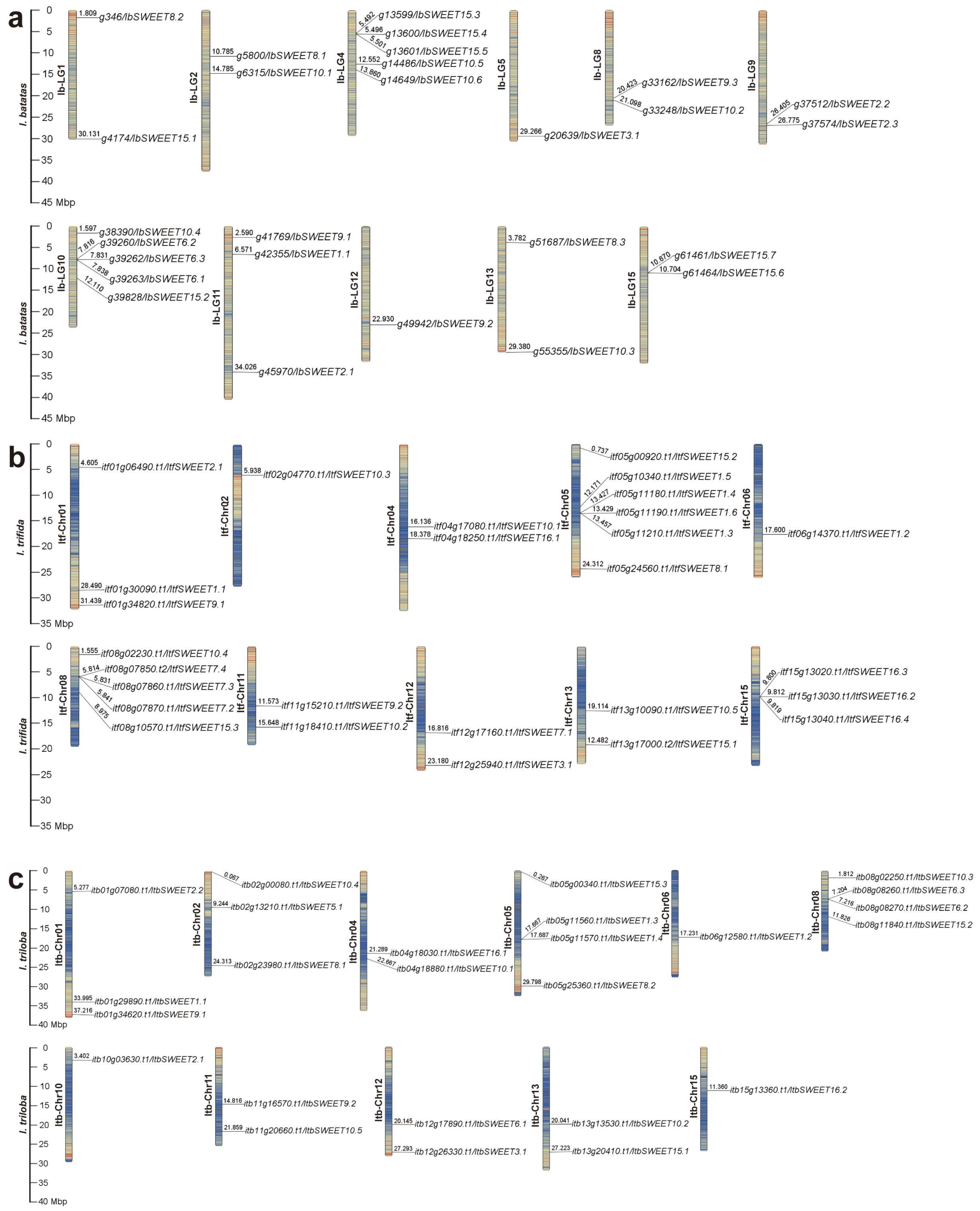 Ijms 23 15848 g002 Ijms 23 15848 g002