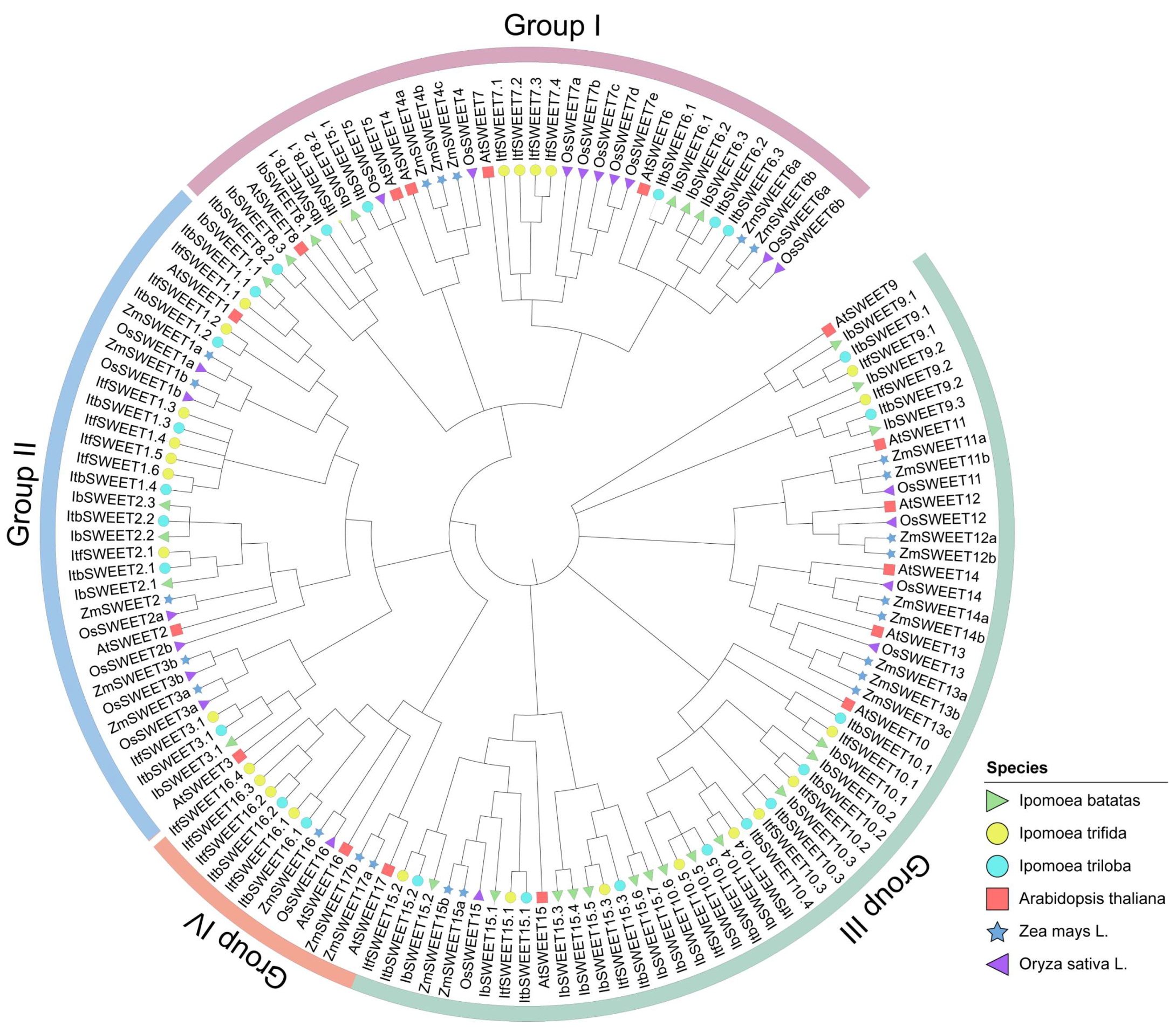 Ijms 23 15848 g003 Ijms 23 15848 g003