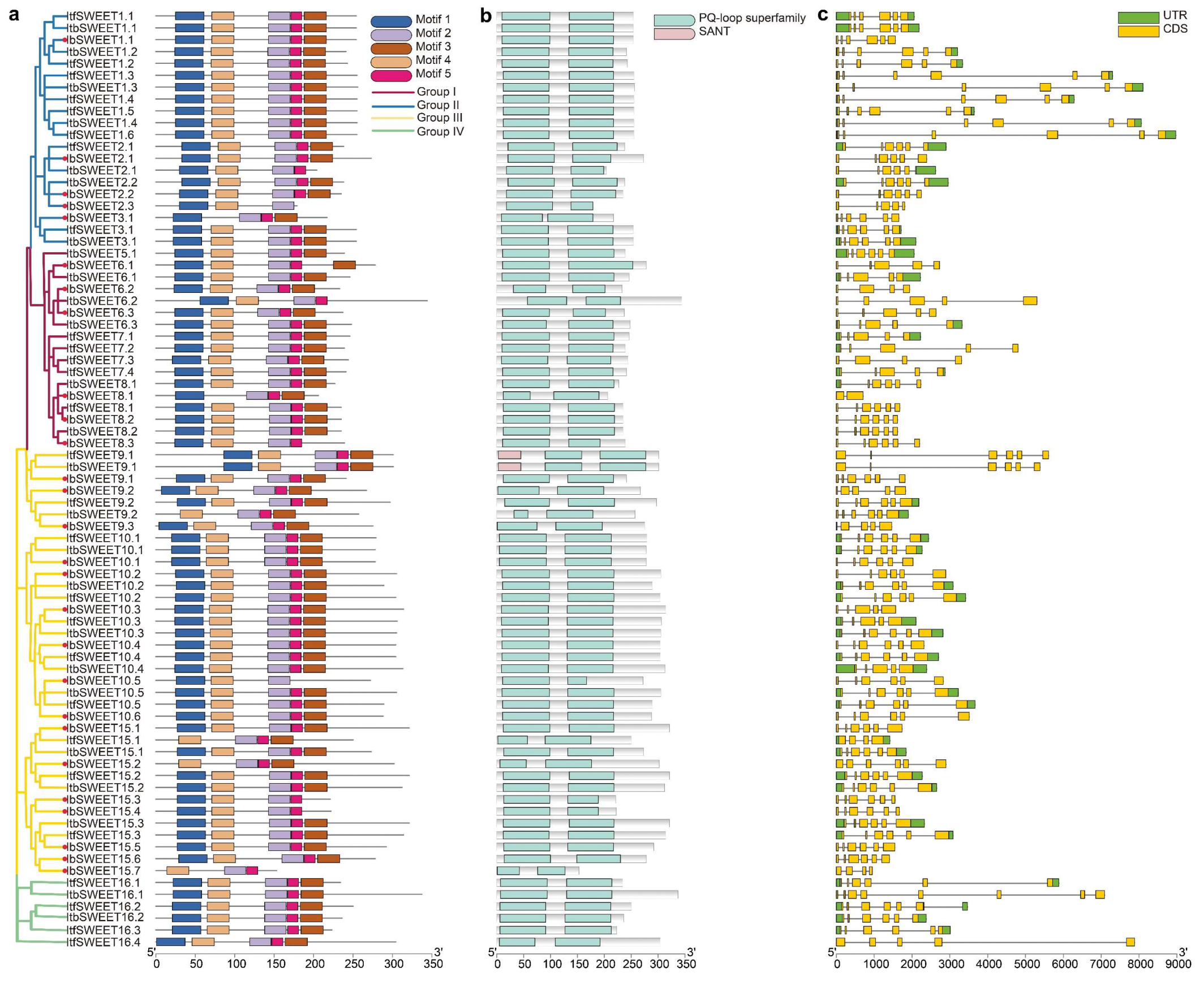 Ijms 23 15848 g004 Ijms 23 15848 g004
