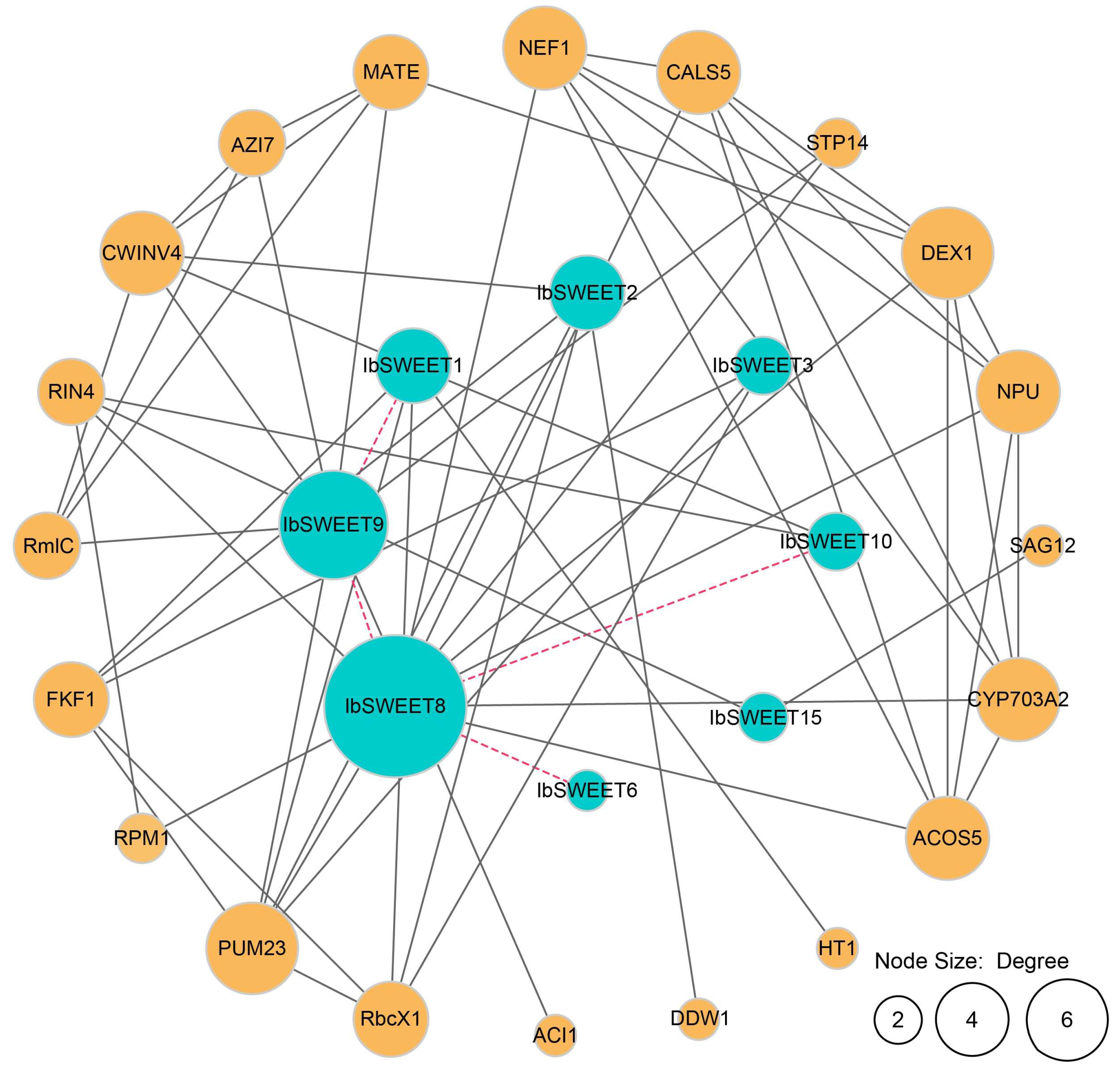 Ijms 23 15848 g006 Ijms 23 15848 g006