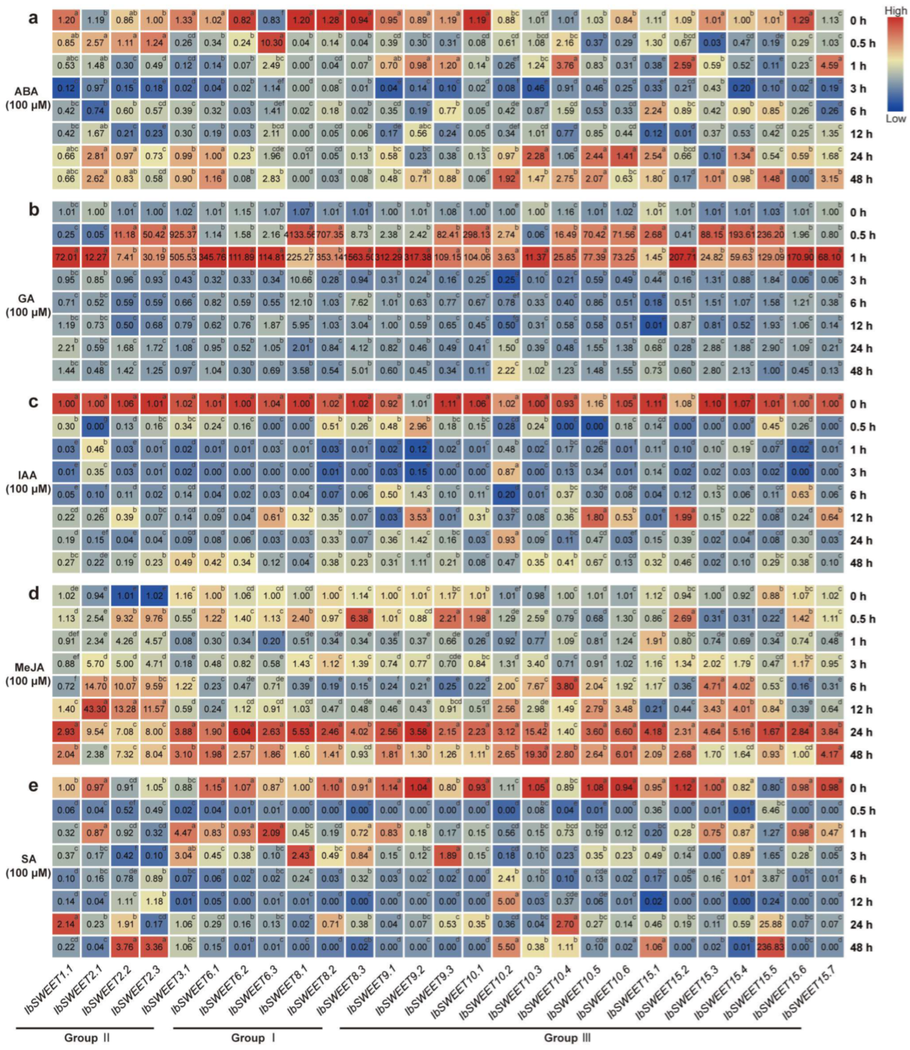 Ijms 23 15848 g010 Ijms 23 15848 g010