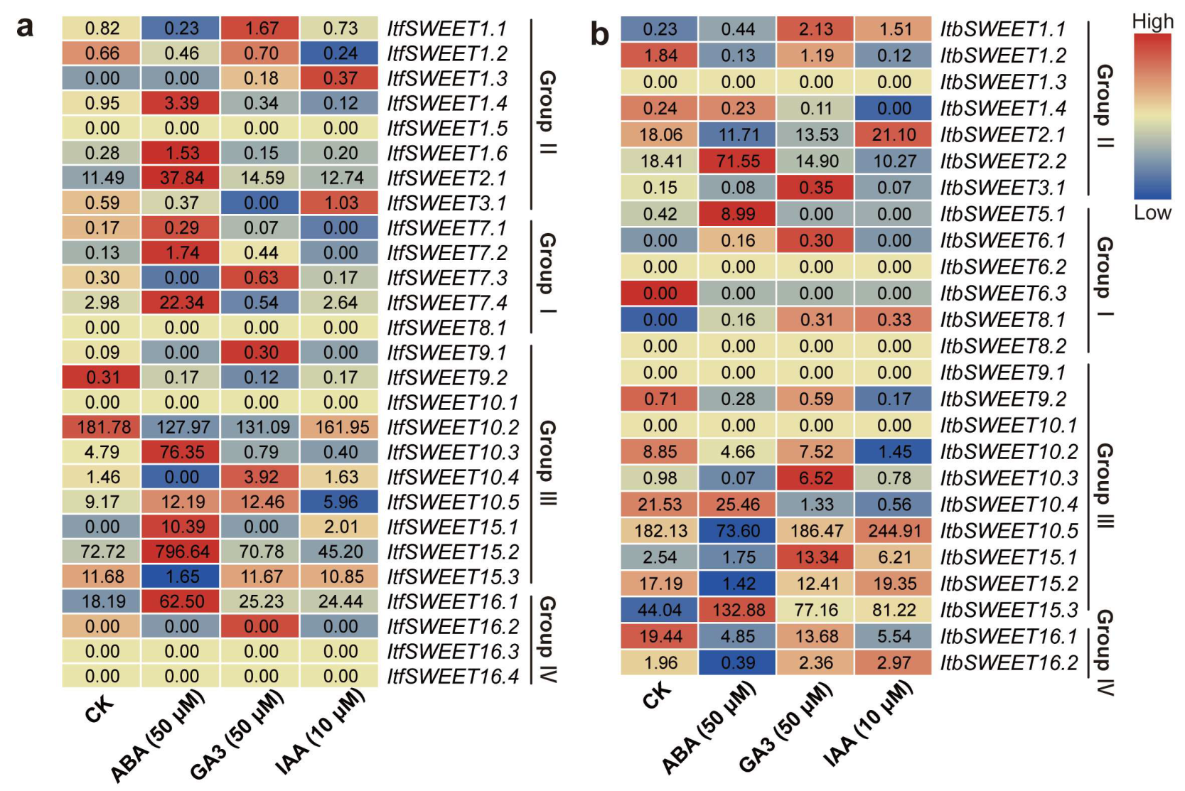 Ijms 23 15848 g011 Ijms 23 15848 g011