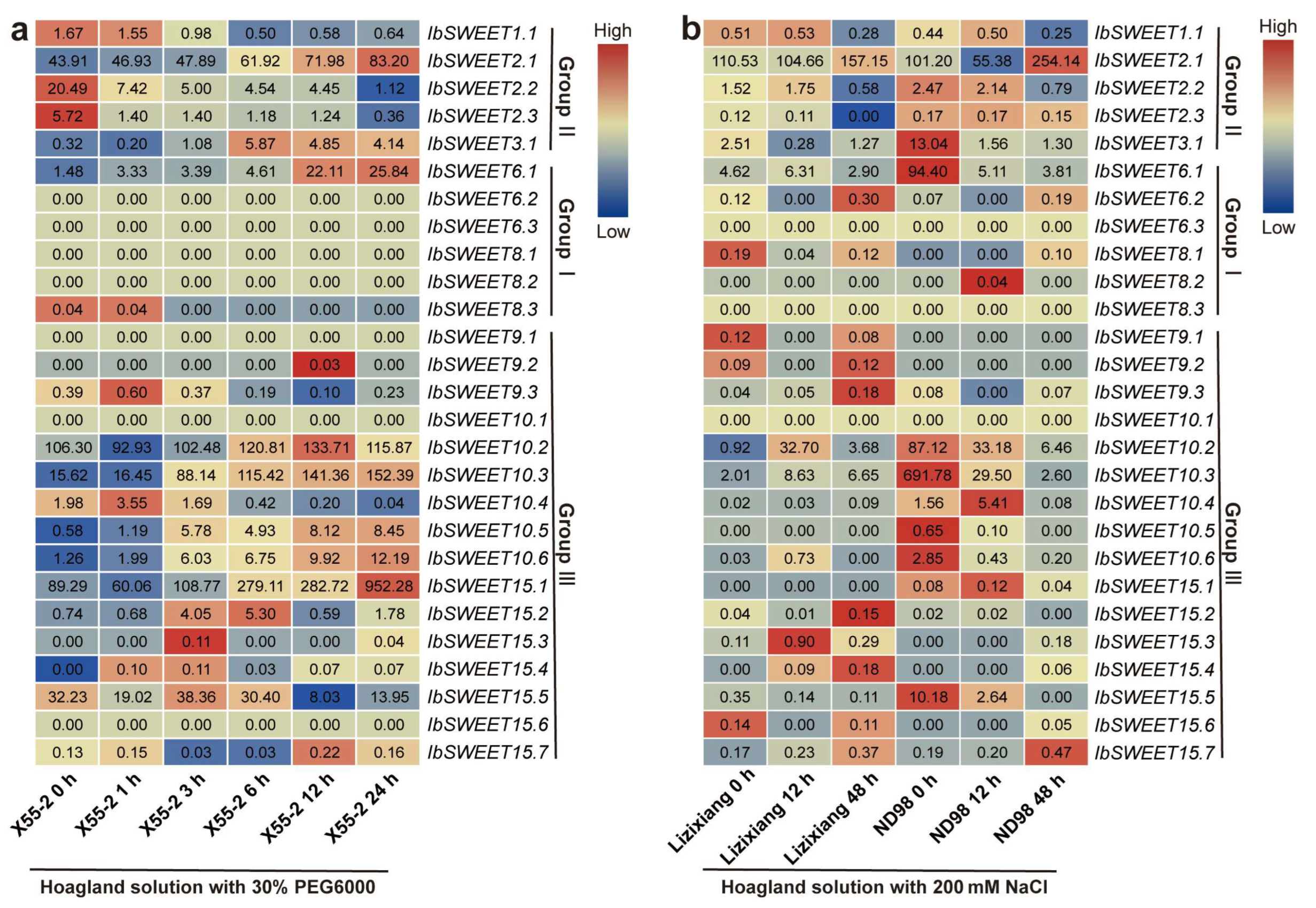 Ijms 23 15848 g012 Ijms 23 15848 g012