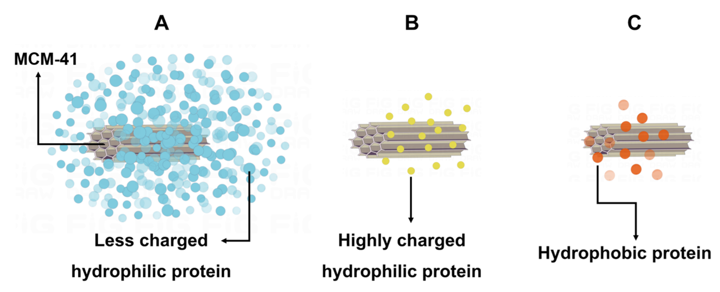 Ijms 23 15850 g006 Ijms 23 15850 g006