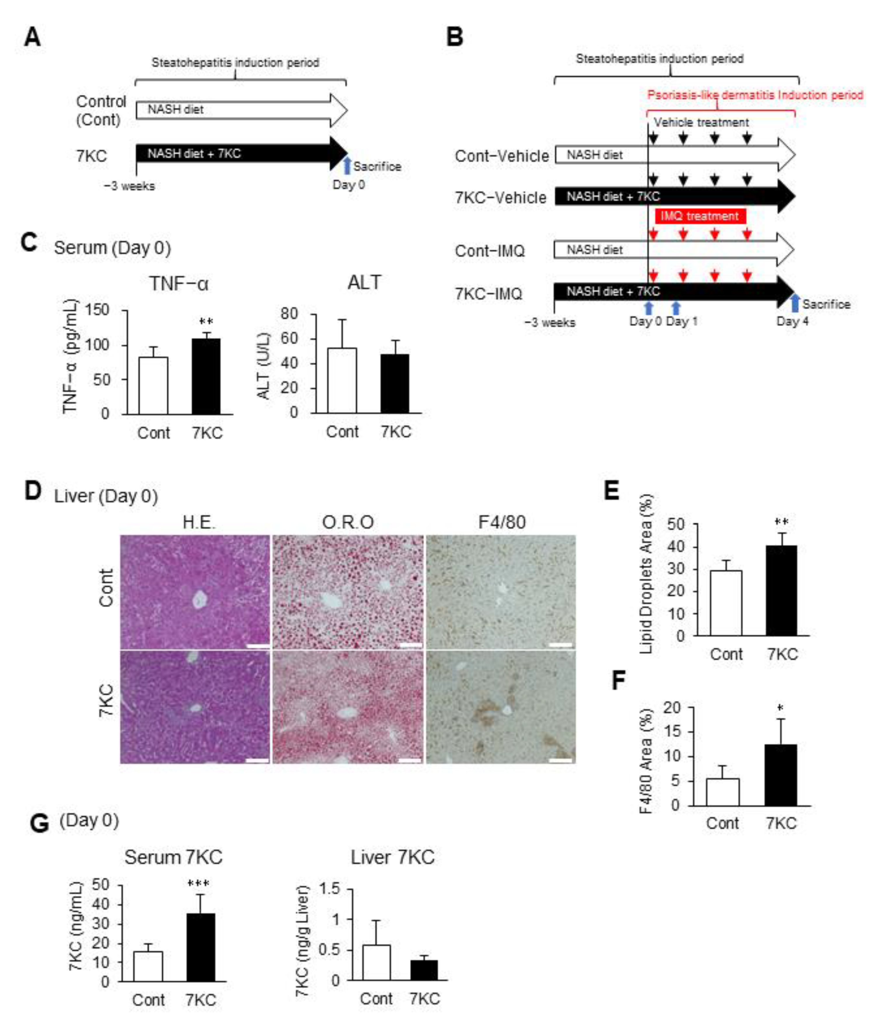 Ijms 23 15855 g001 Ijms 23 15855 g001