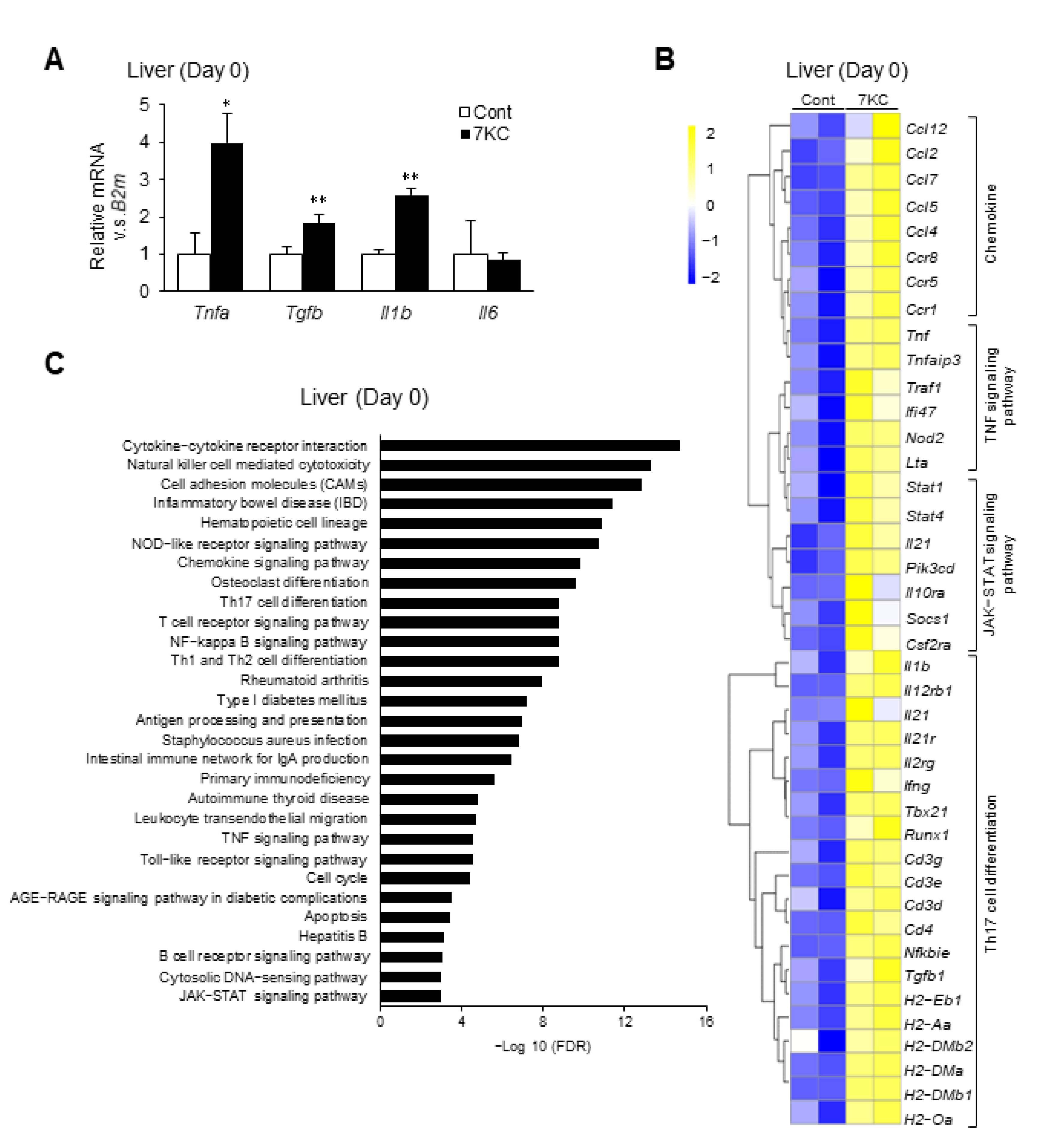 Ijms 23 15855 g002 Ijms 23 15855 g002