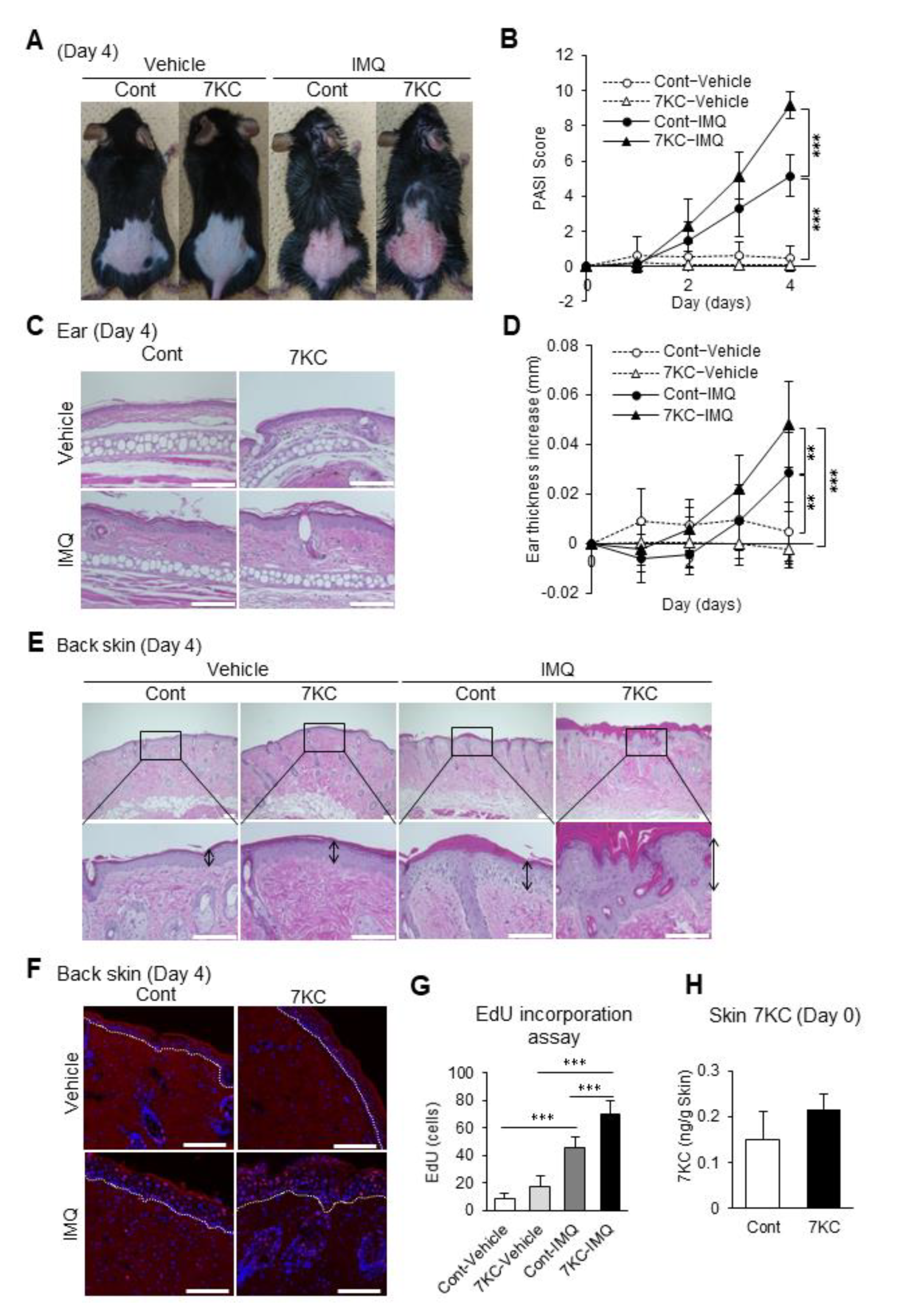 Ijms 23 15855 g003 Ijms 23 15855 g003