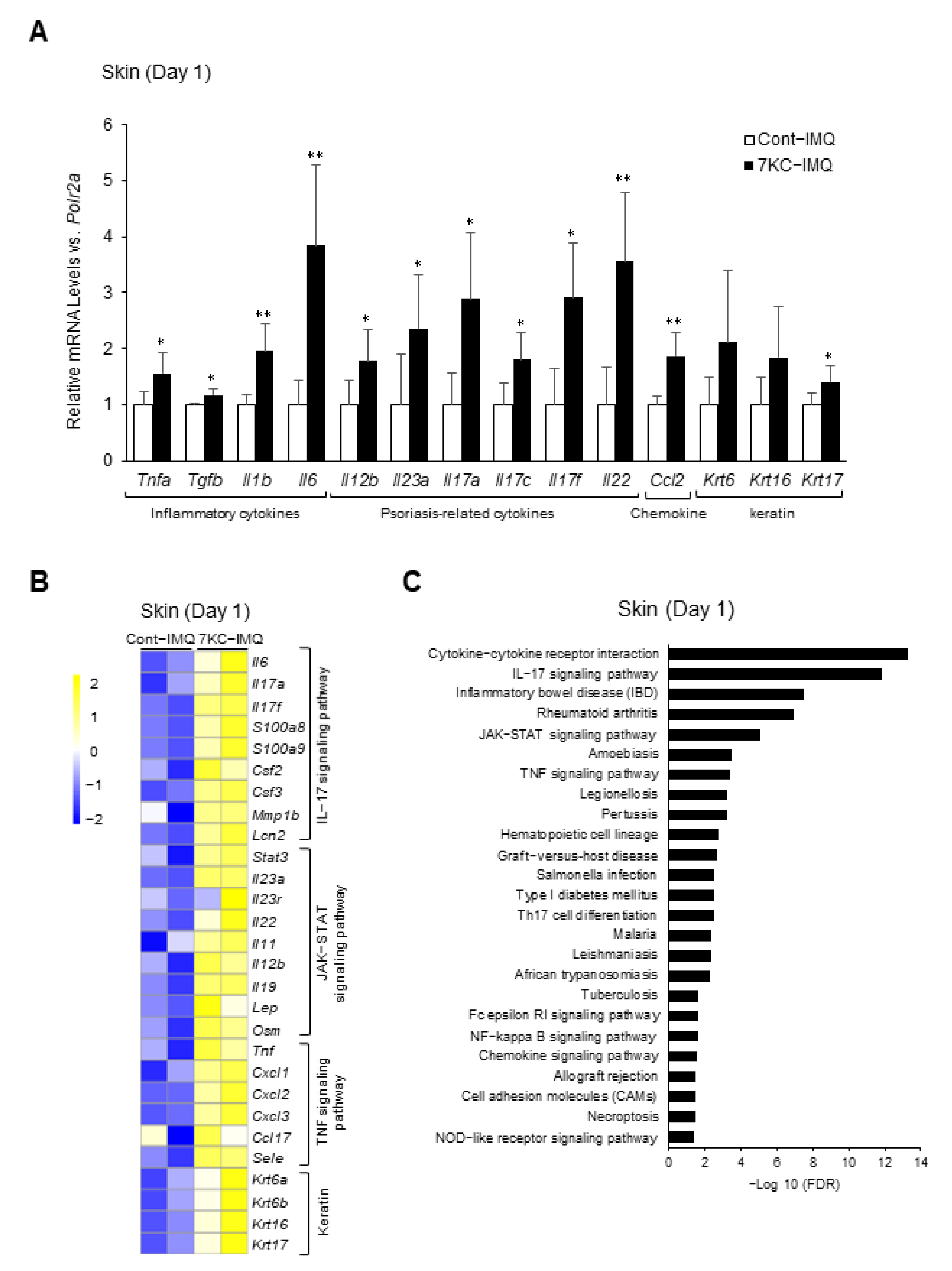Ijms 23 15855 g004 Ijms 23 15855 g004