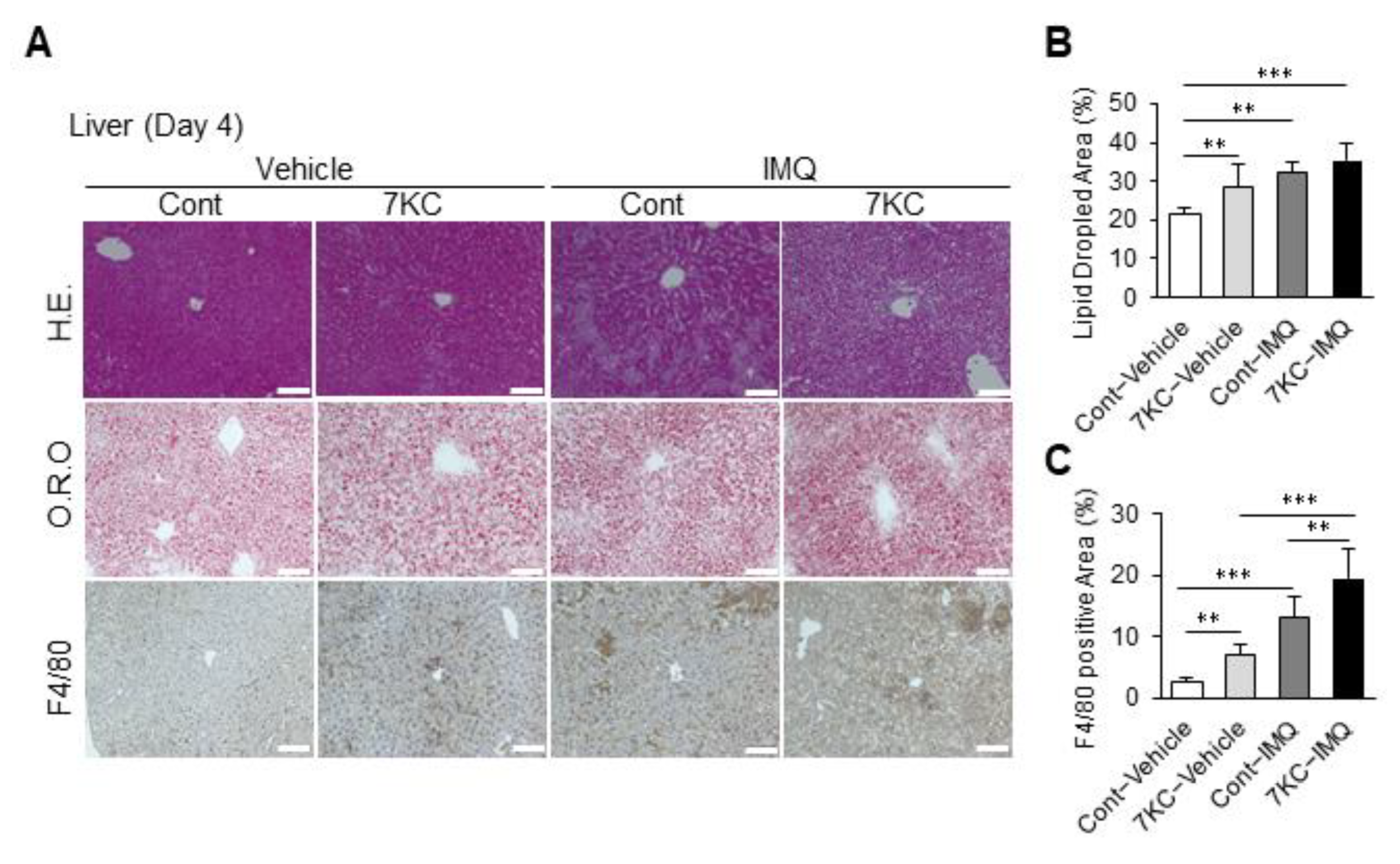 Ijms 23 15855 g005 Ijms 23 15855 g005