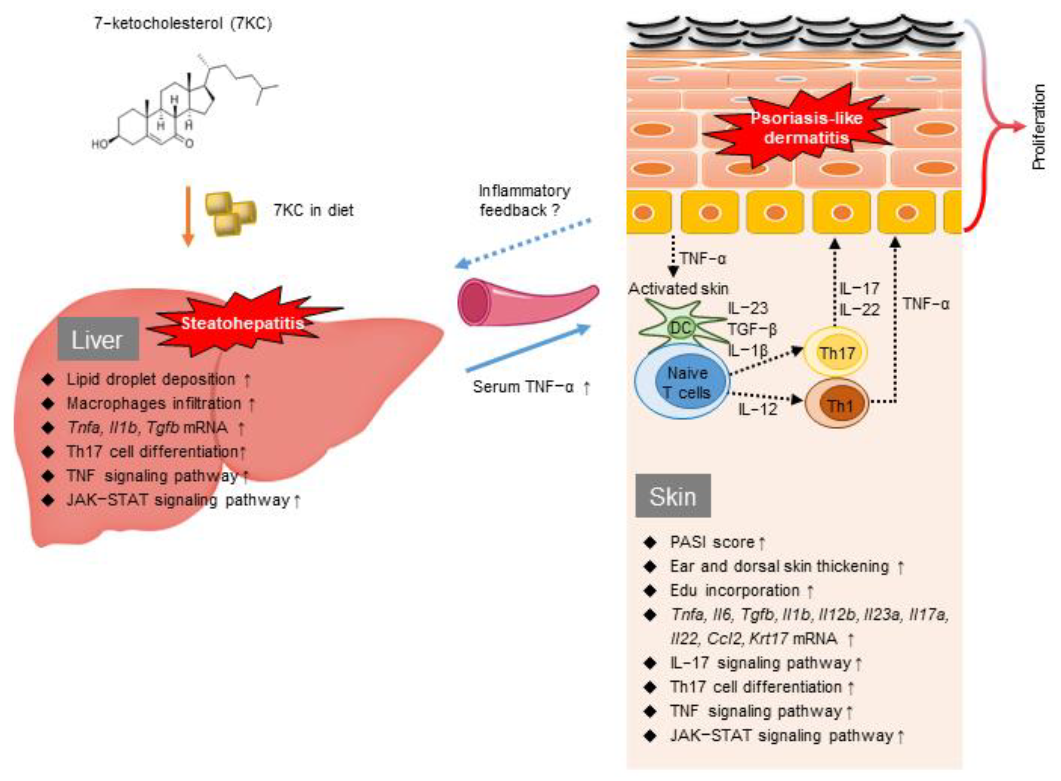 Ijms 23 15855 g006 Ijms 23 15855 g006