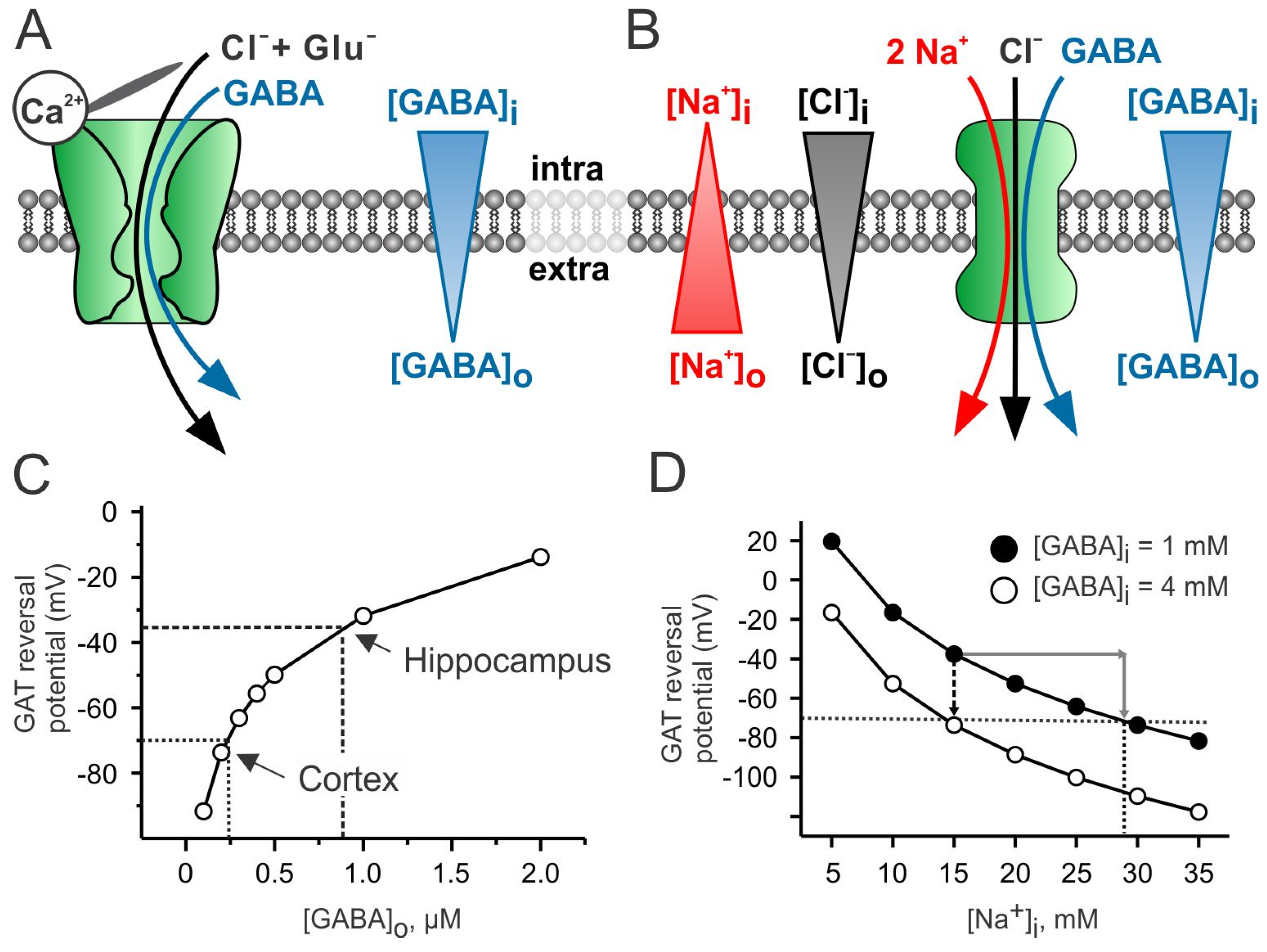 Ijms 23 15859 g002 Ijms 23 15859 g002