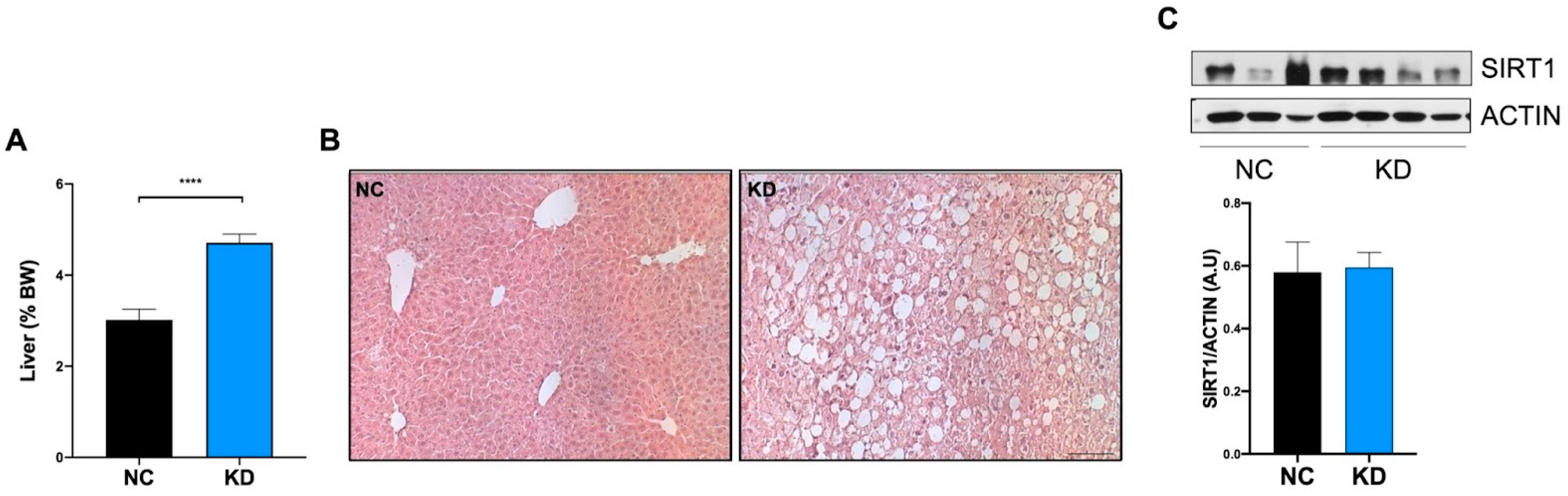 Ijms 23 15860 g005 Ijms 23 15860 g005