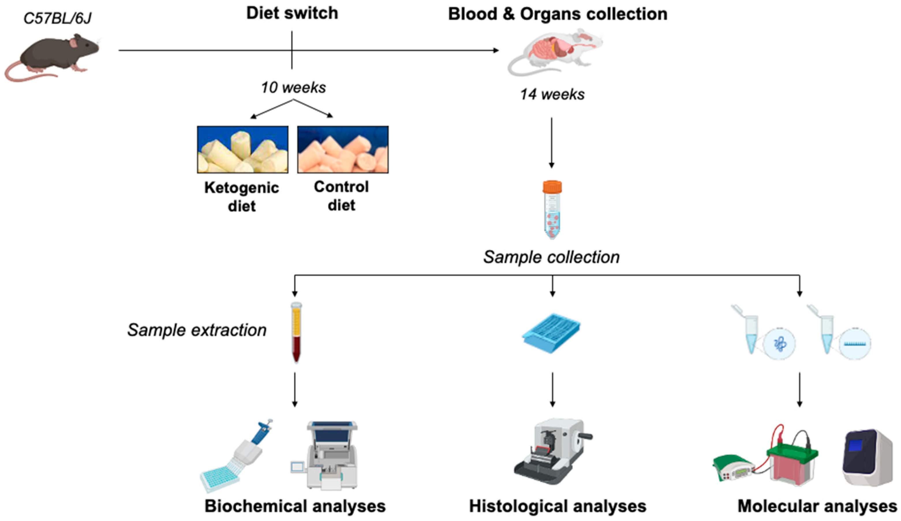Ijms 23 15860 g007 Ijms 23 15860 g007