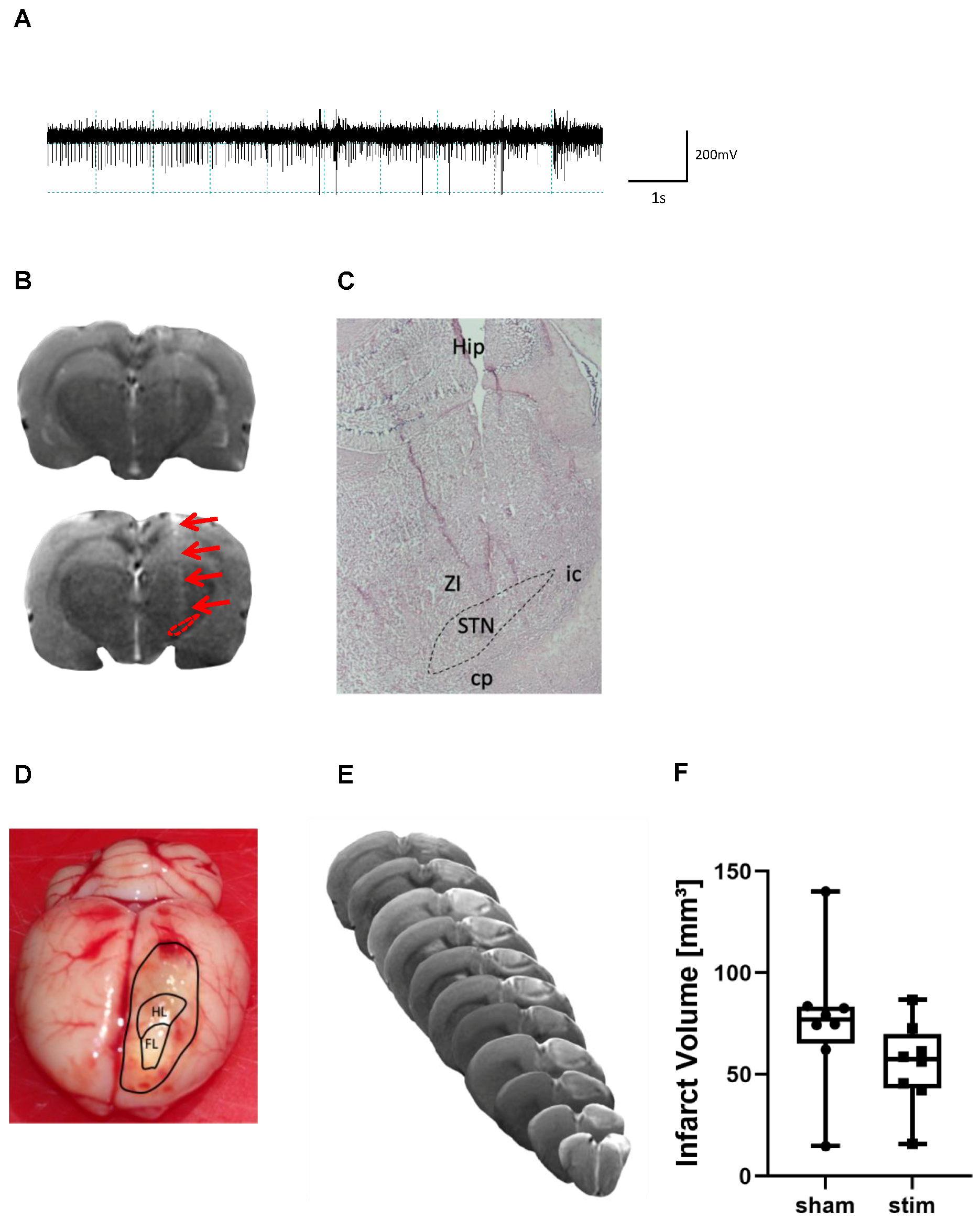 https://www.mdpi.com/ijms/ijms-23-15862/article_deploy/html/images/ijms-23-15862-g001.png