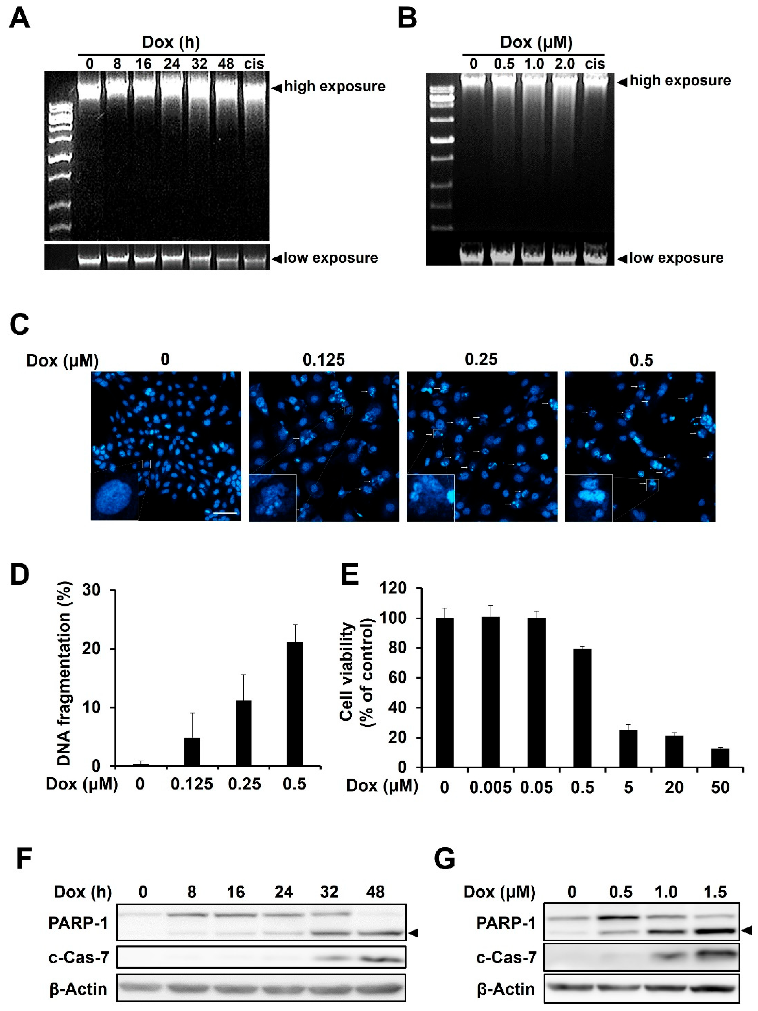 Ijms 23 15872 g001 Ijms 23 15872 g001