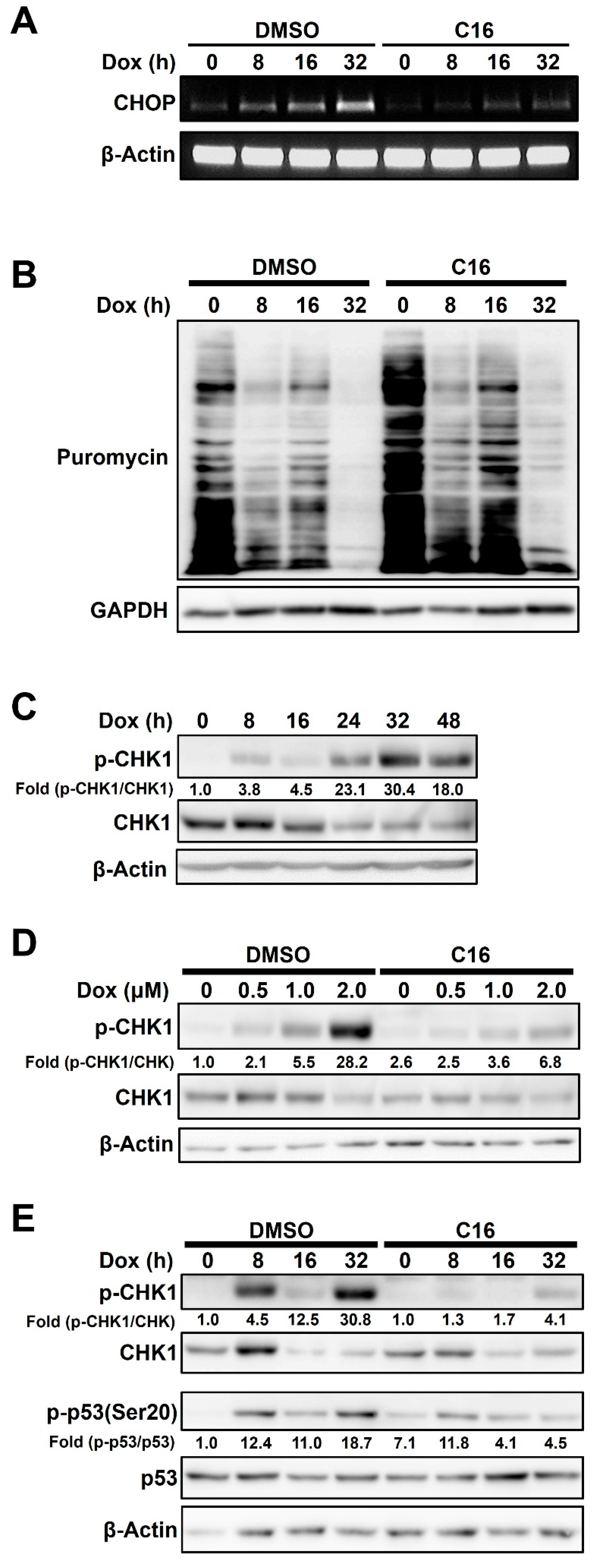 Ijms 23 15872 g004 Ijms 23 15872 g004