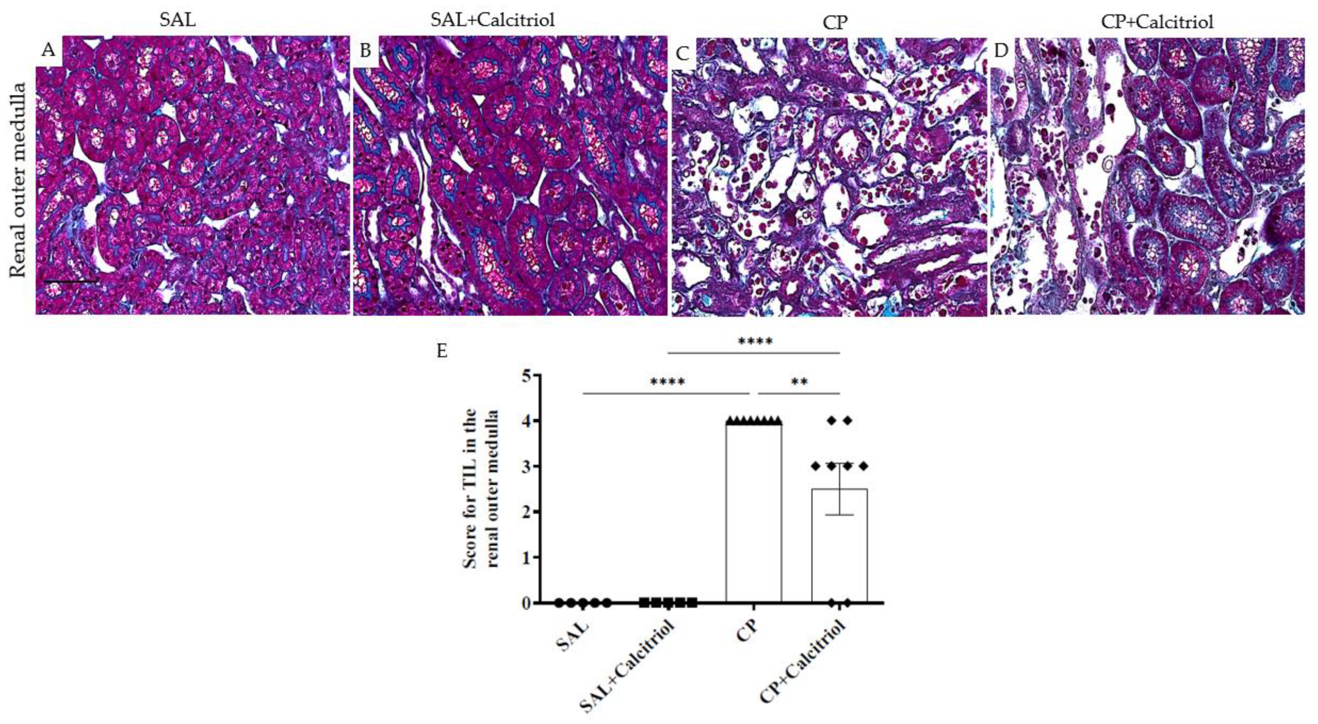 Ijms 23 15877 g001 Ijms 23 15877 g001