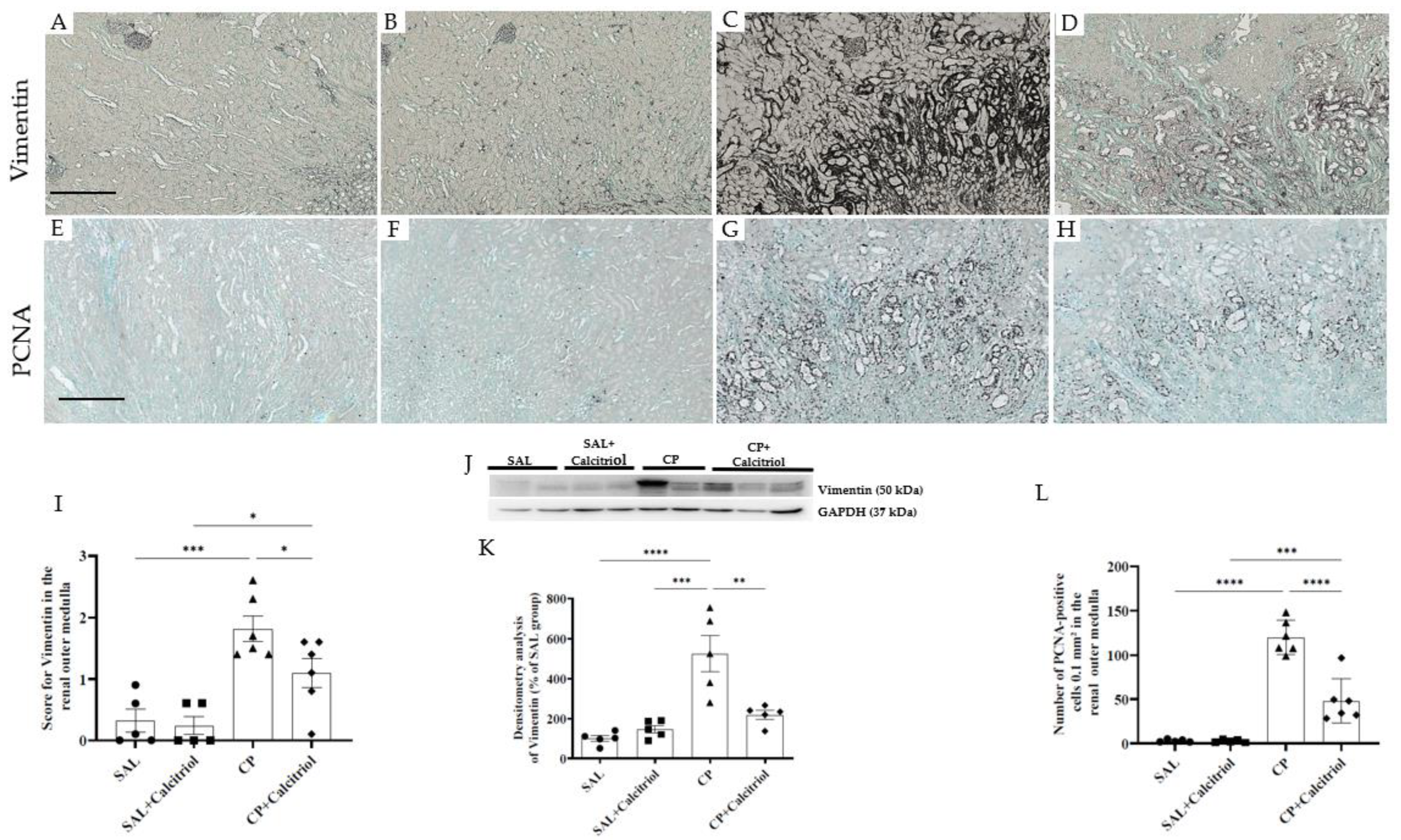 Ijms 23 15877 g002 Ijms 23 15877 g002