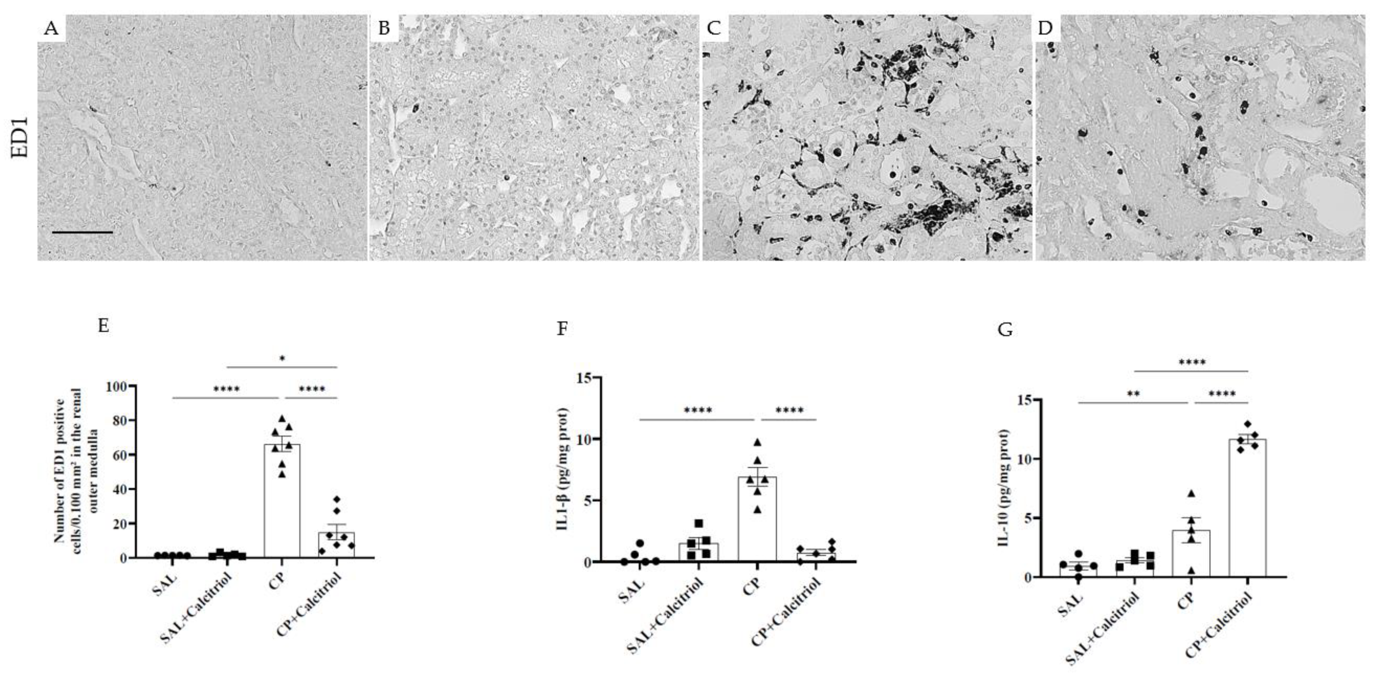 Ijms 23 15877 g003 Ijms 23 15877 g003