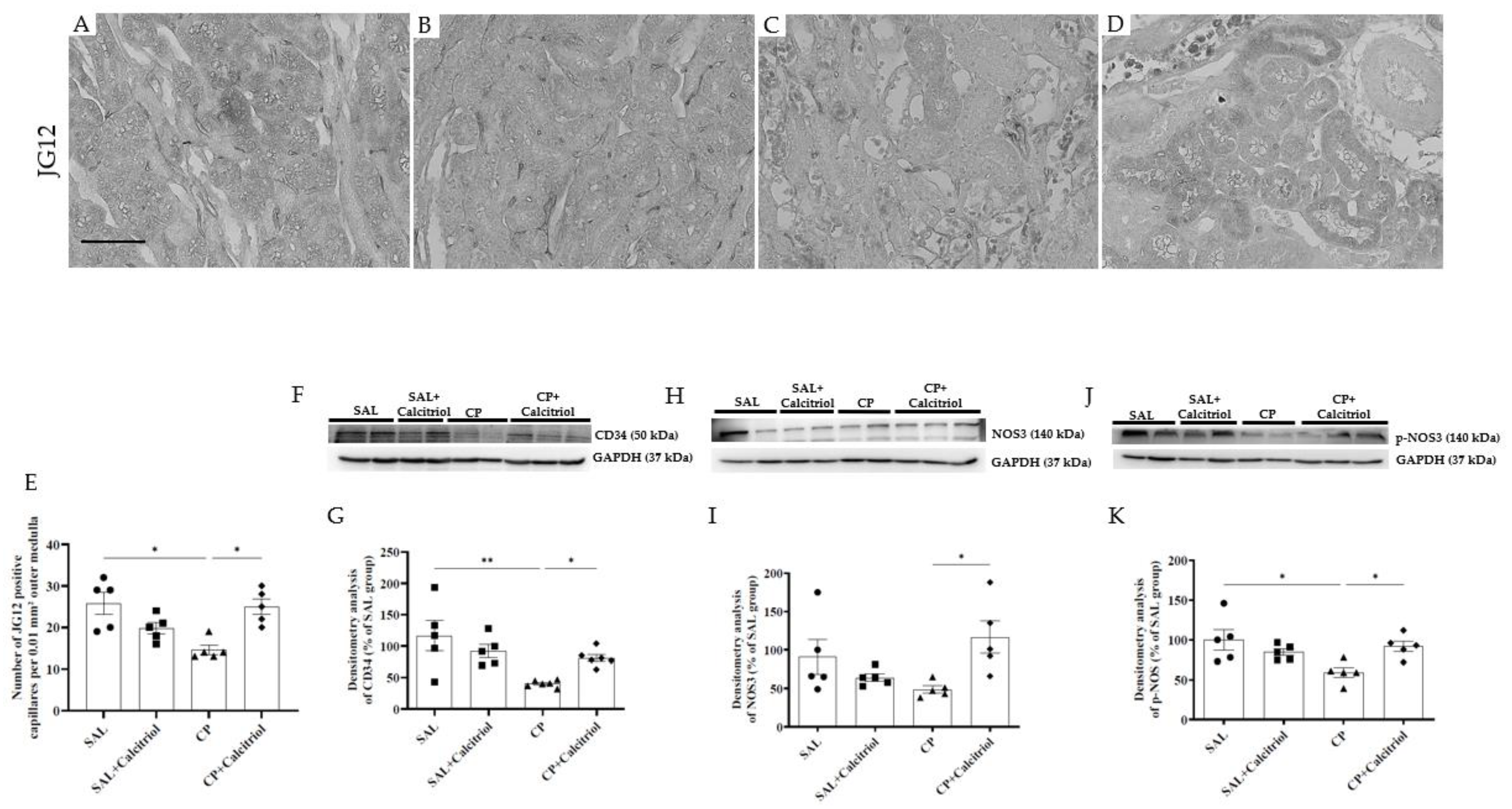Ijms 23 15877 g005 Ijms 23 15877 g005
