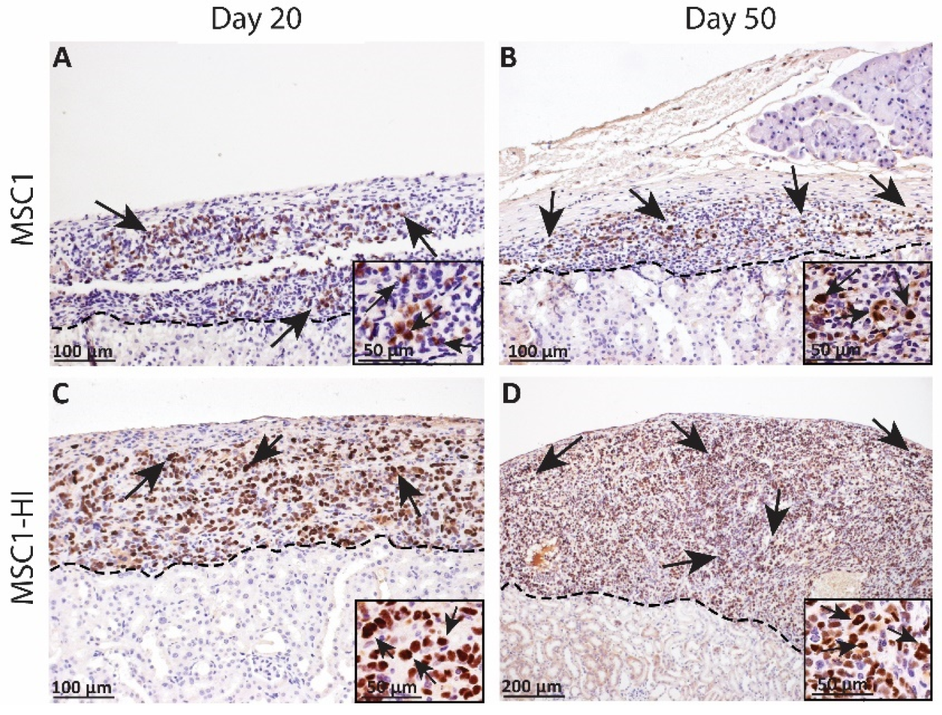 Ijms 23 15894 g003 Ijms 23 15894 g003