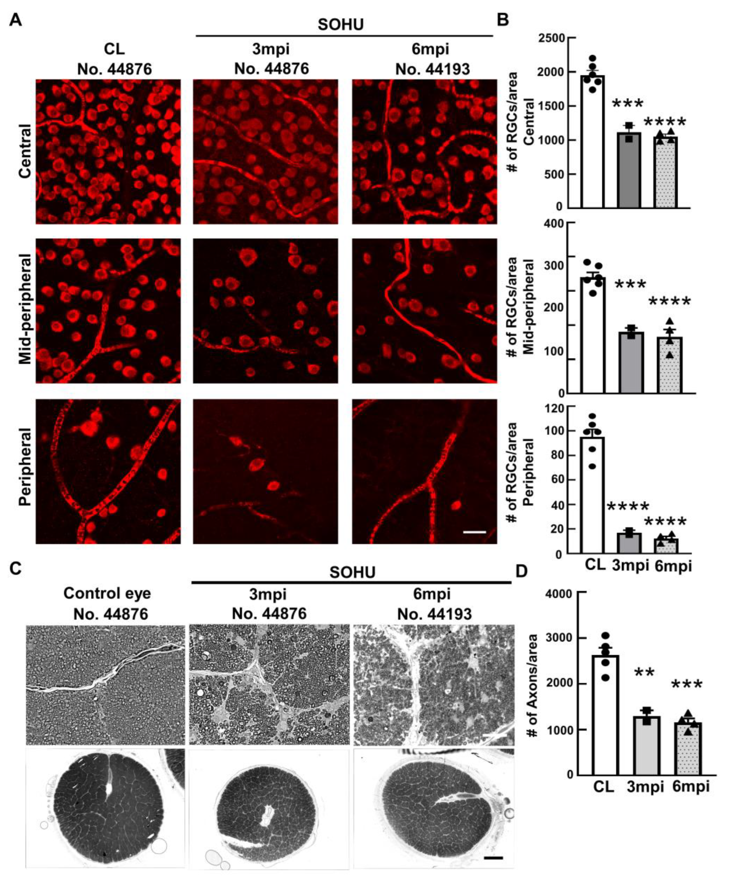 Ijms 23 15896 g003 Ijms 23 15896 g003