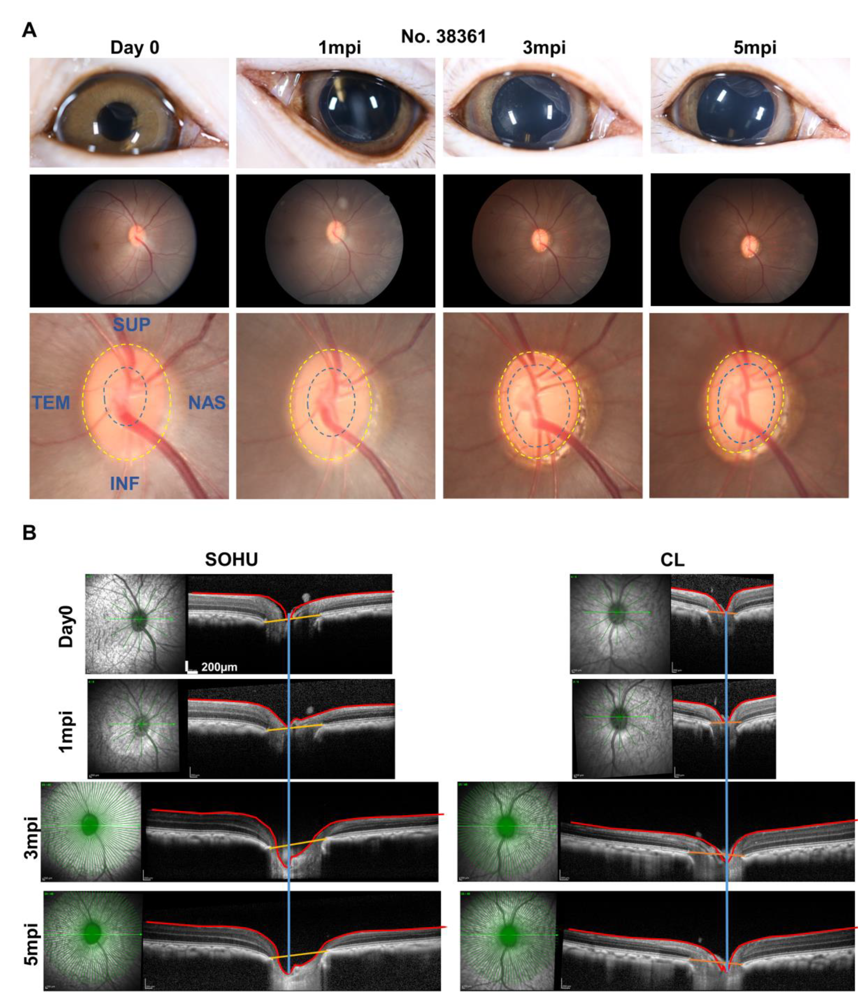 Ijms 23 15896 g006 Ijms 23 15896 g006