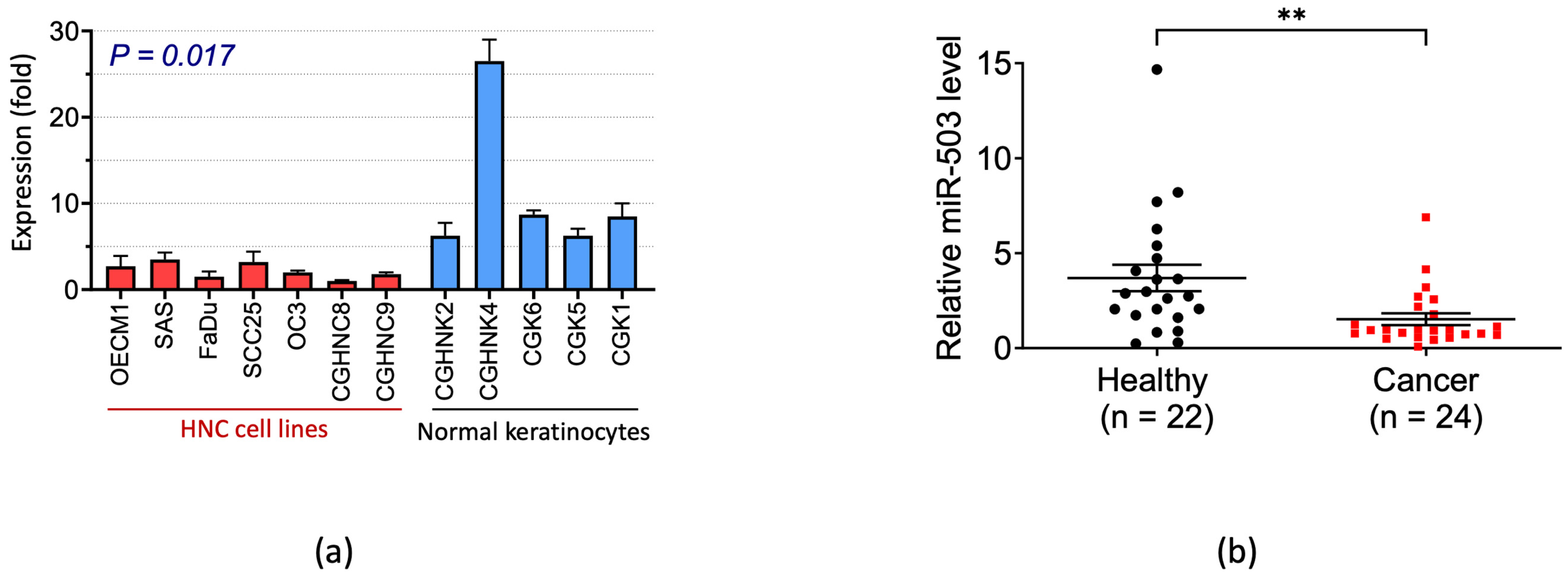 Ijms 23 15900 g001 Ijms 23 15900 g001