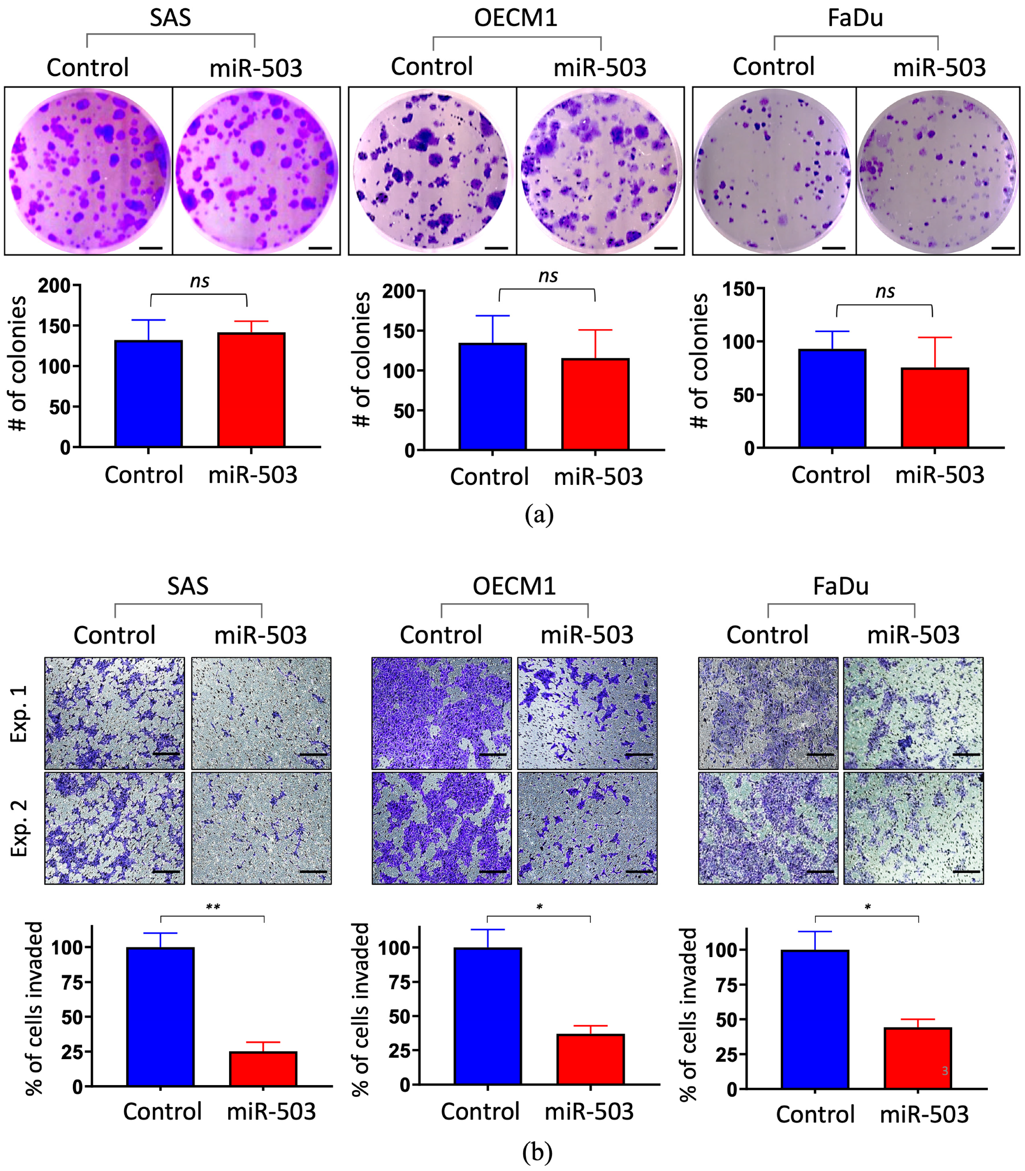 Ijms 23 15900 g002 Ijms 23 15900 g002