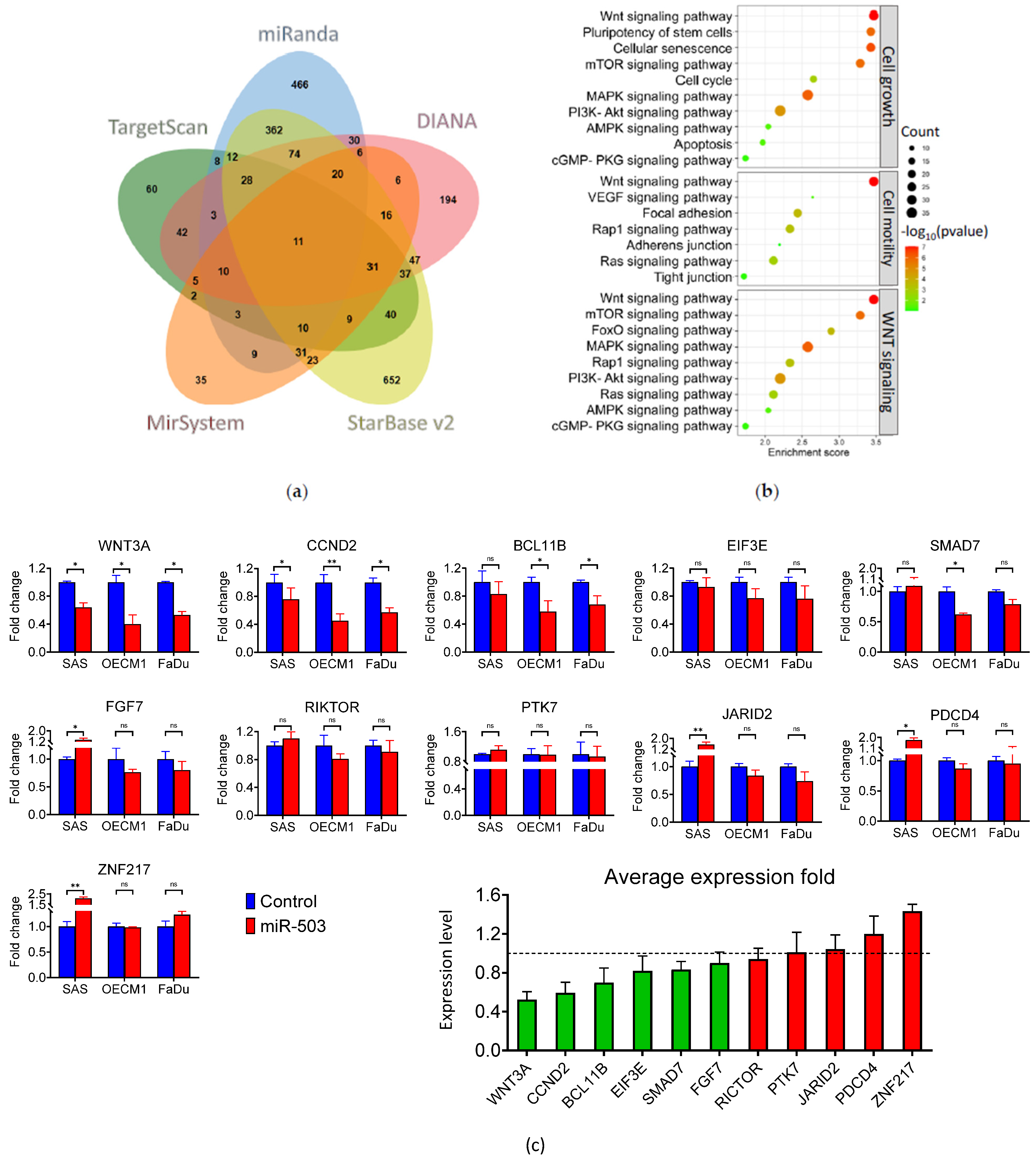 Ijms 23 15900 g003a Ijms 23 15900 g003a