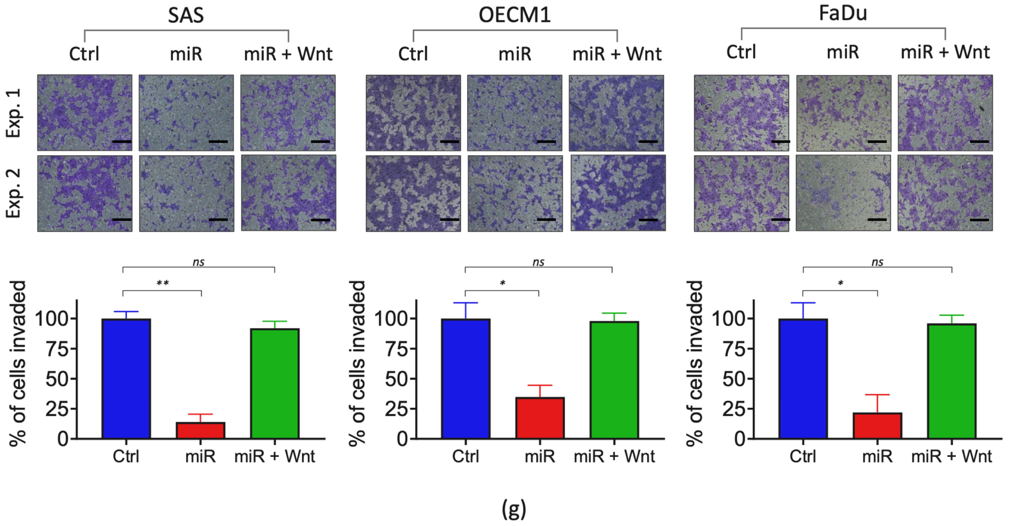 Ijms 23 15900 g003c Ijms 23 15900 g003c