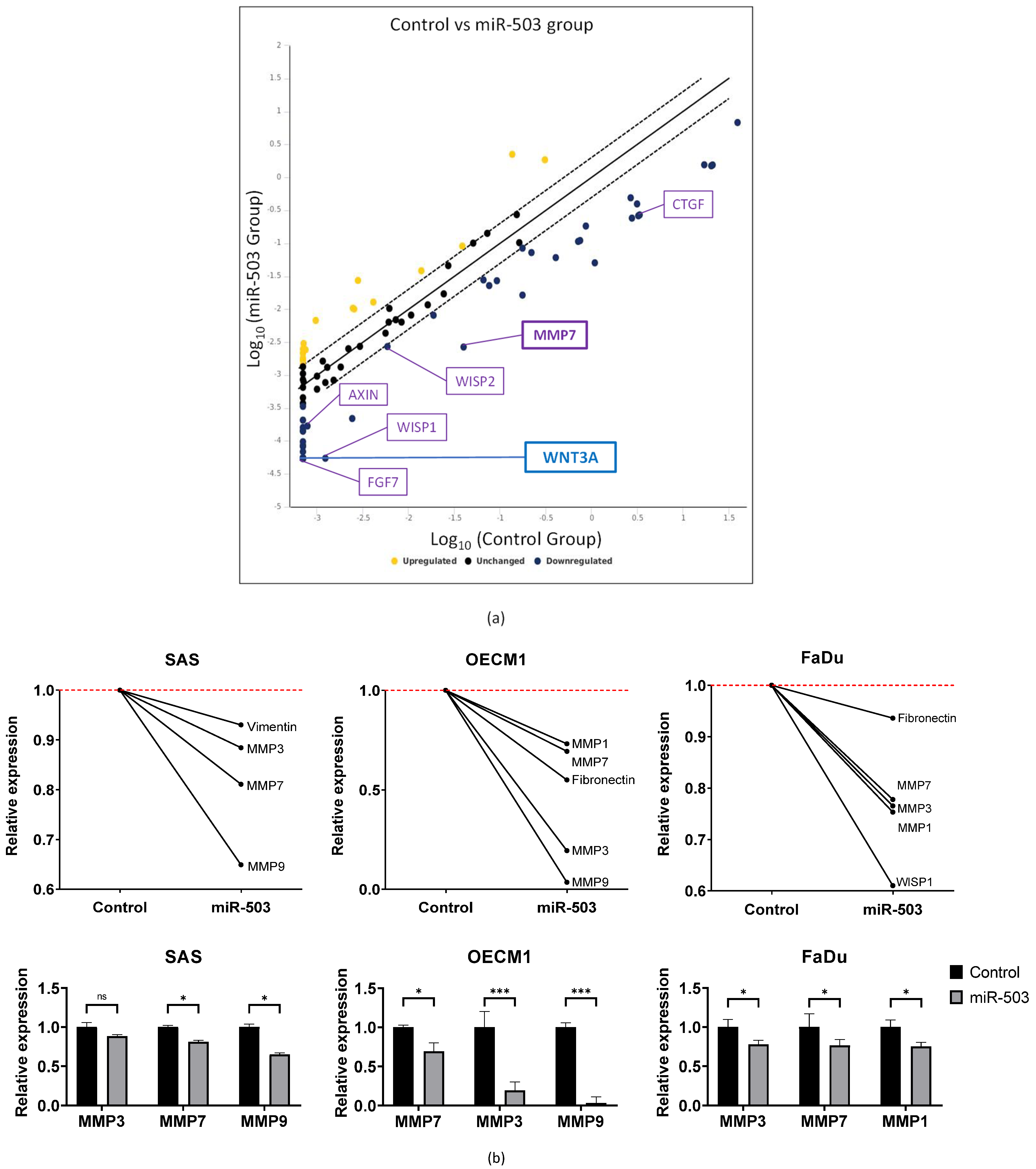 Ijms 23 15900 g004 Ijms 23 15900 g004