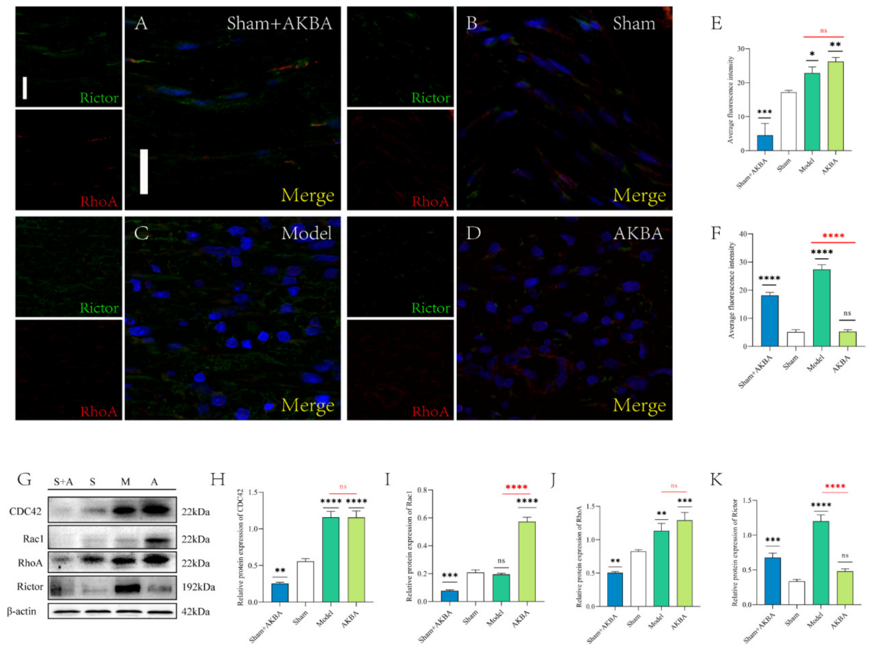 Ijms 23 15903 g004 Ijms 23 15903 g004