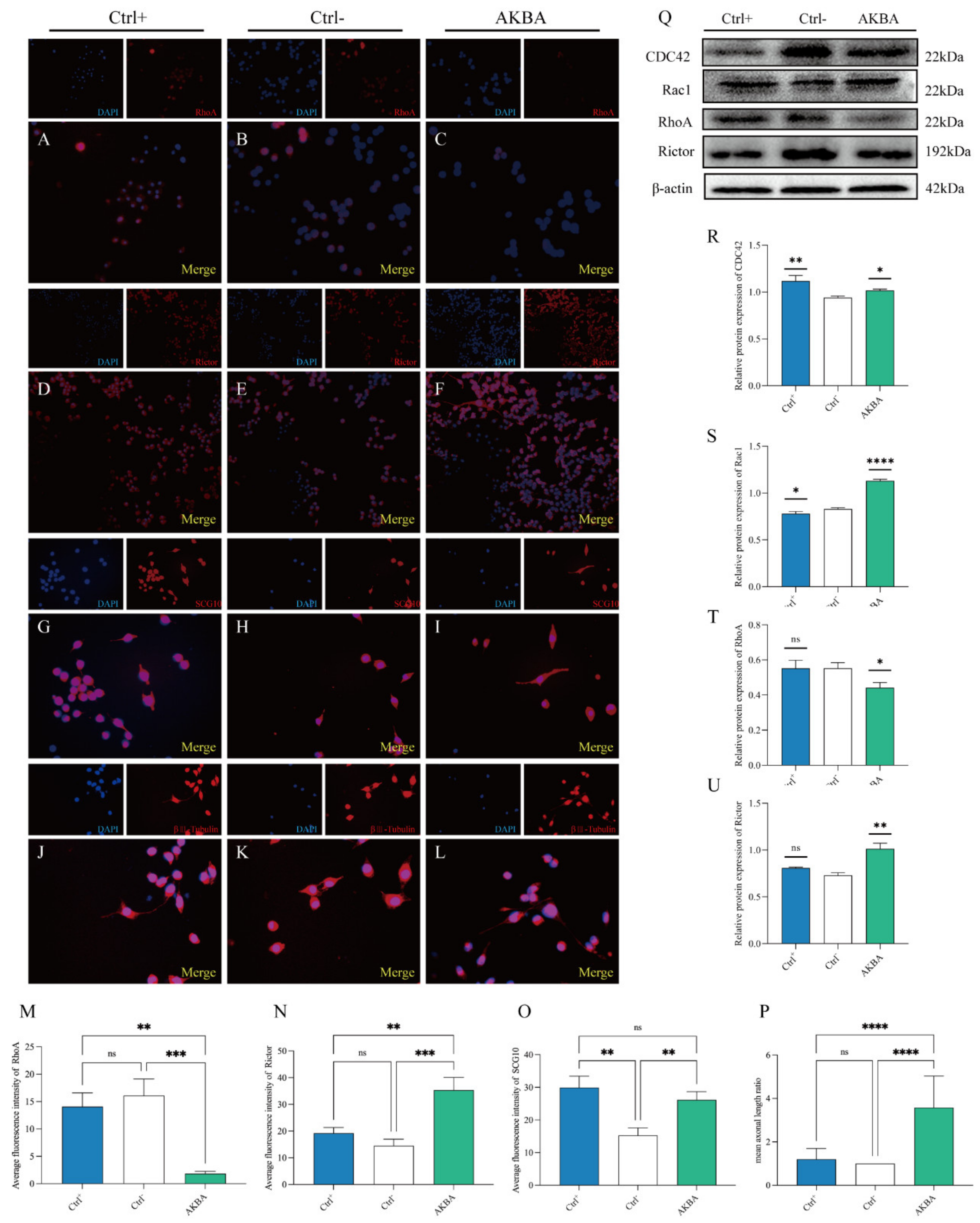 Ijms 23 15903 g007 Ijms 23 15903 g007