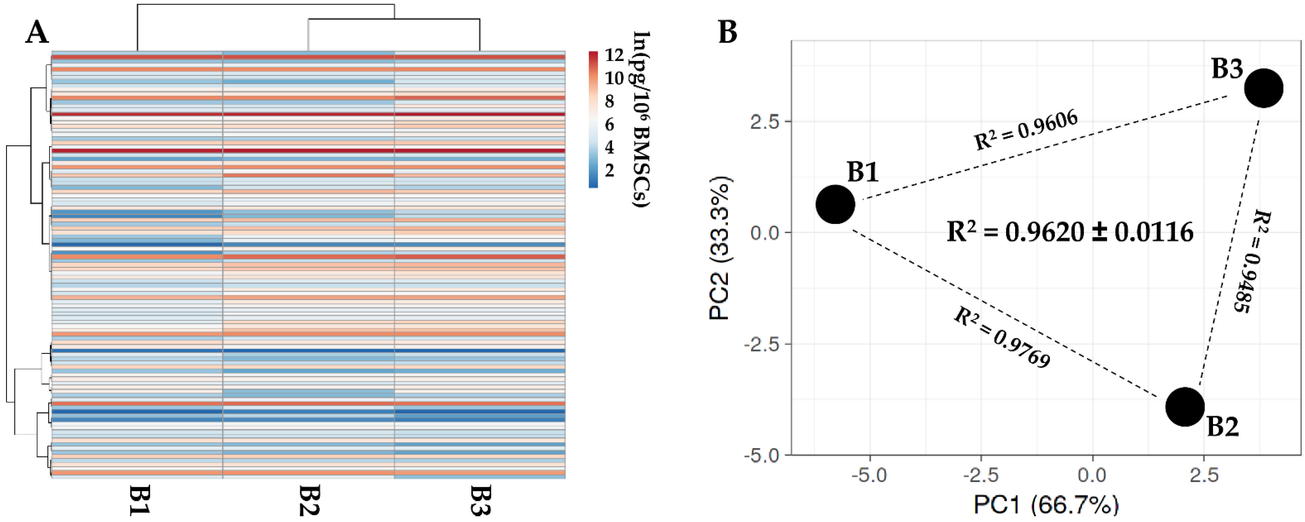 Ijms 23 15908 g002 Ijms 23 15908 g002