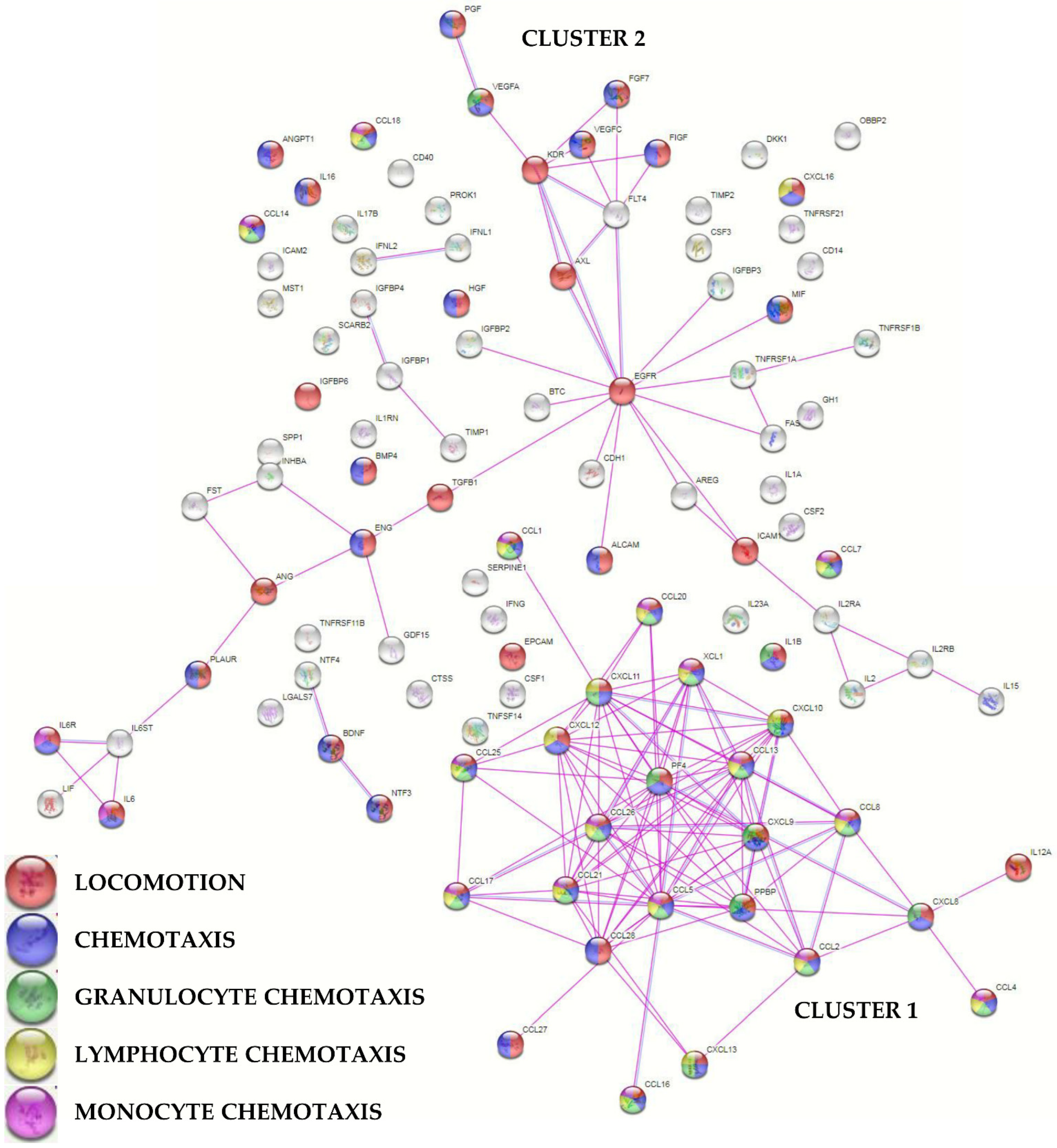 Ijms 23 15908 g003 Ijms 23 15908 g003