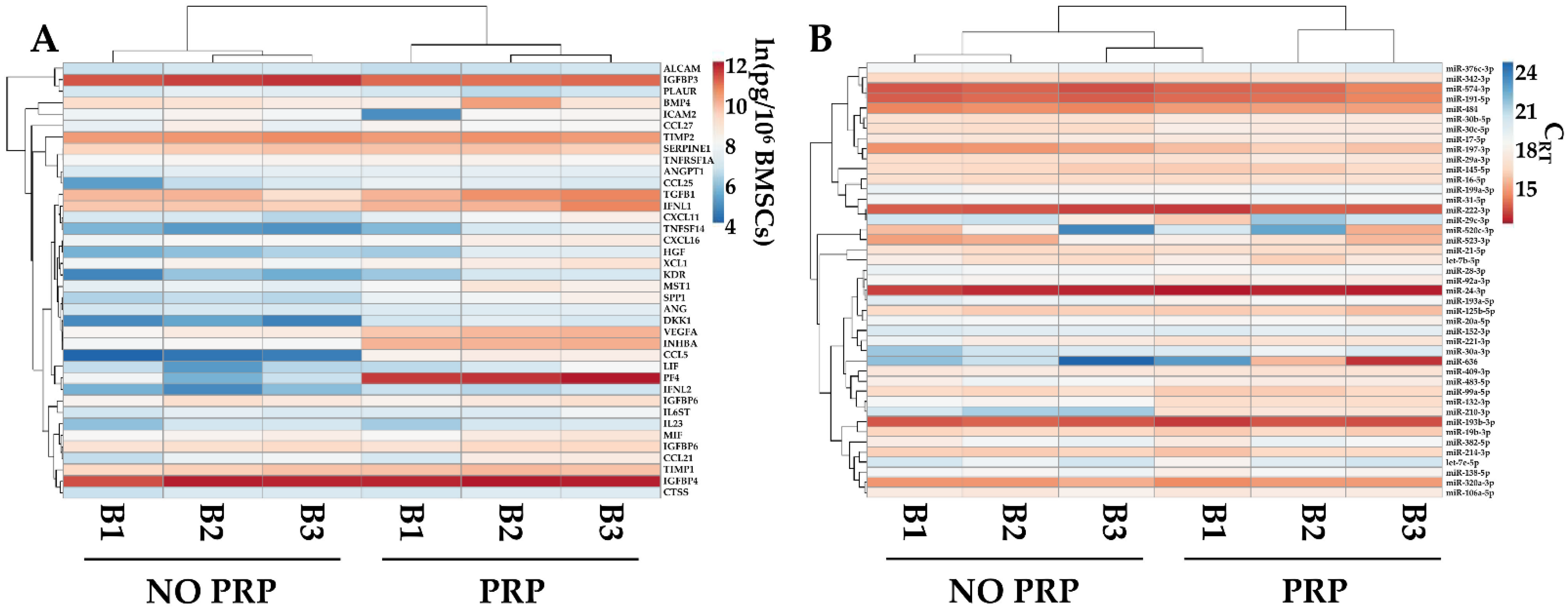 Ijms 23 15908 g006 Ijms 23 15908 g006