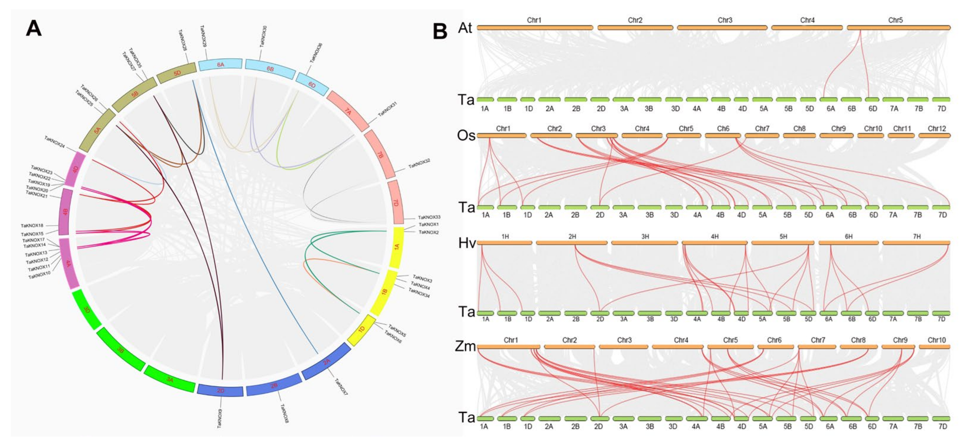 Ijms 23 15918 g001 Ijms 23 15918 g001