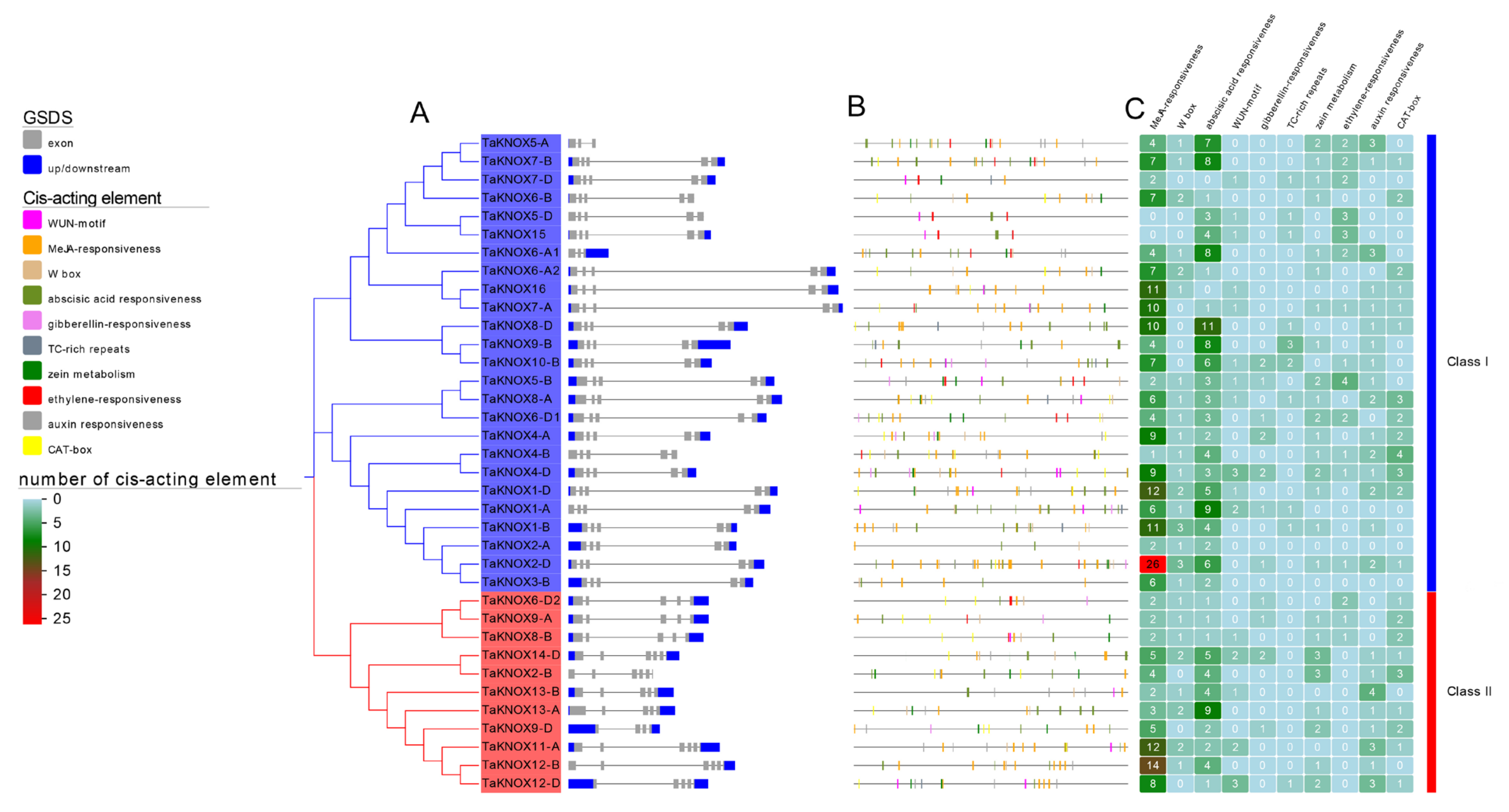 Ijms 23 15918 g003 Ijms 23 15918 g003