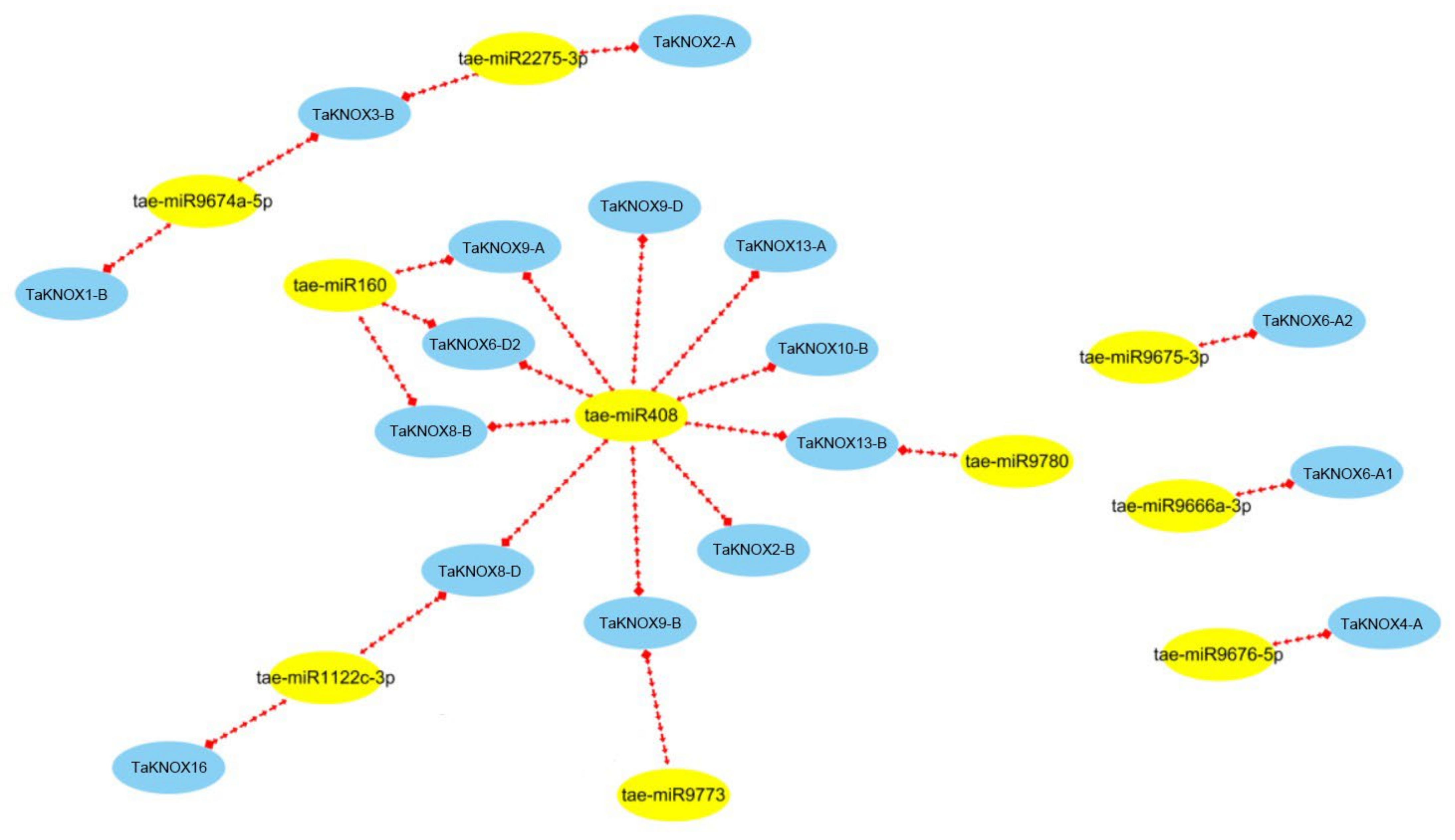 Ijms 23 15918 g004 Ijms 23 15918 g004