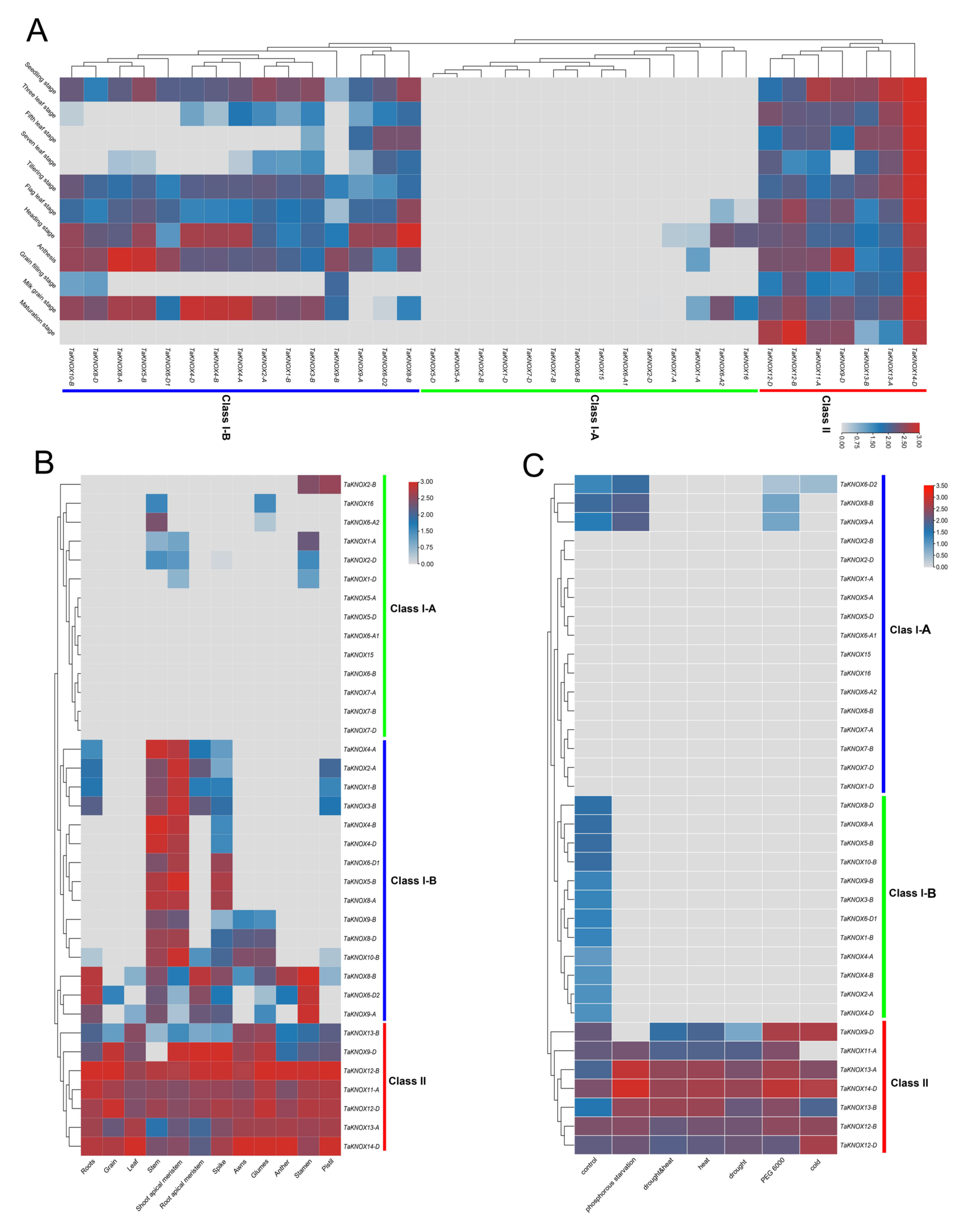 Ijms 23 15918 g005 Ijms 23 15918 g005