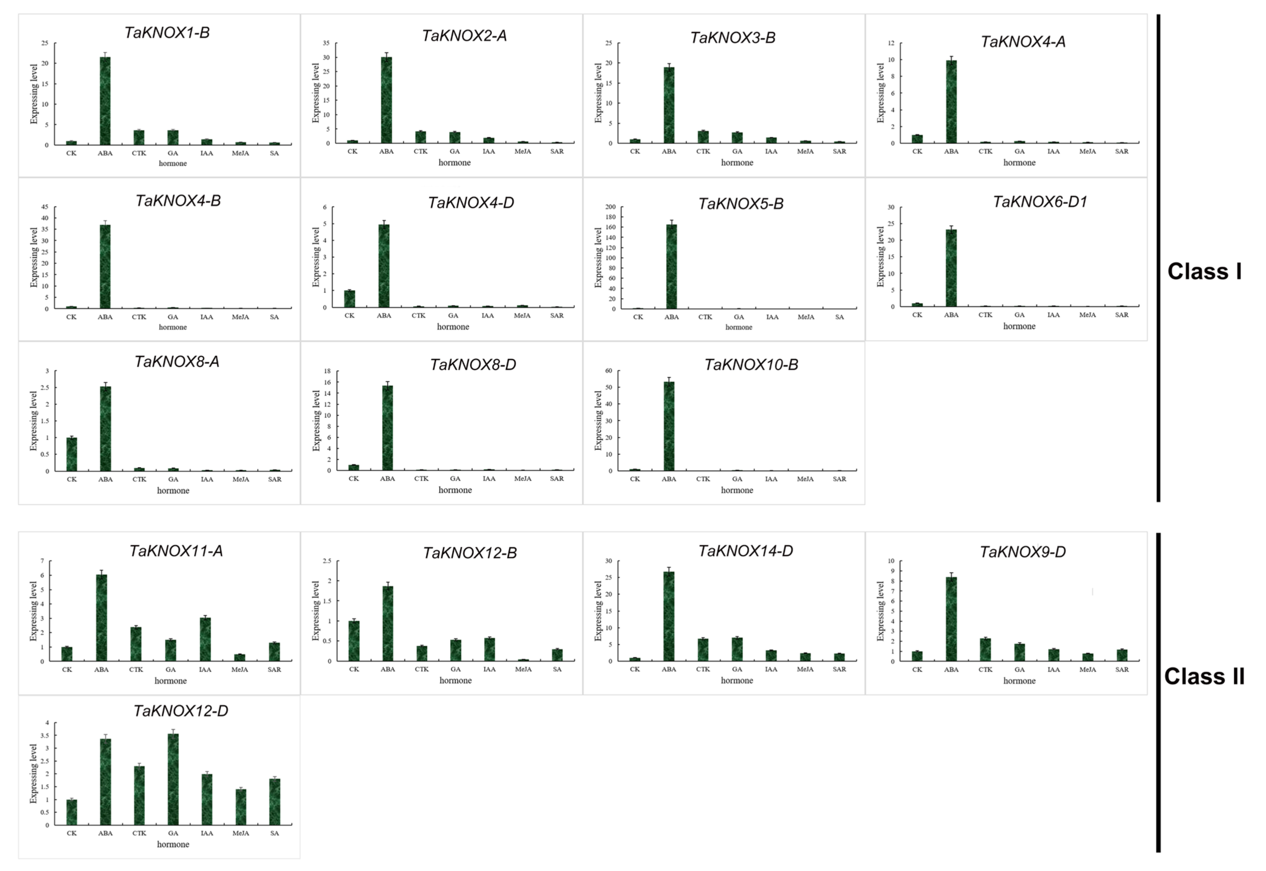 Ijms 23 15918 g006 Ijms 23 15918 g006
