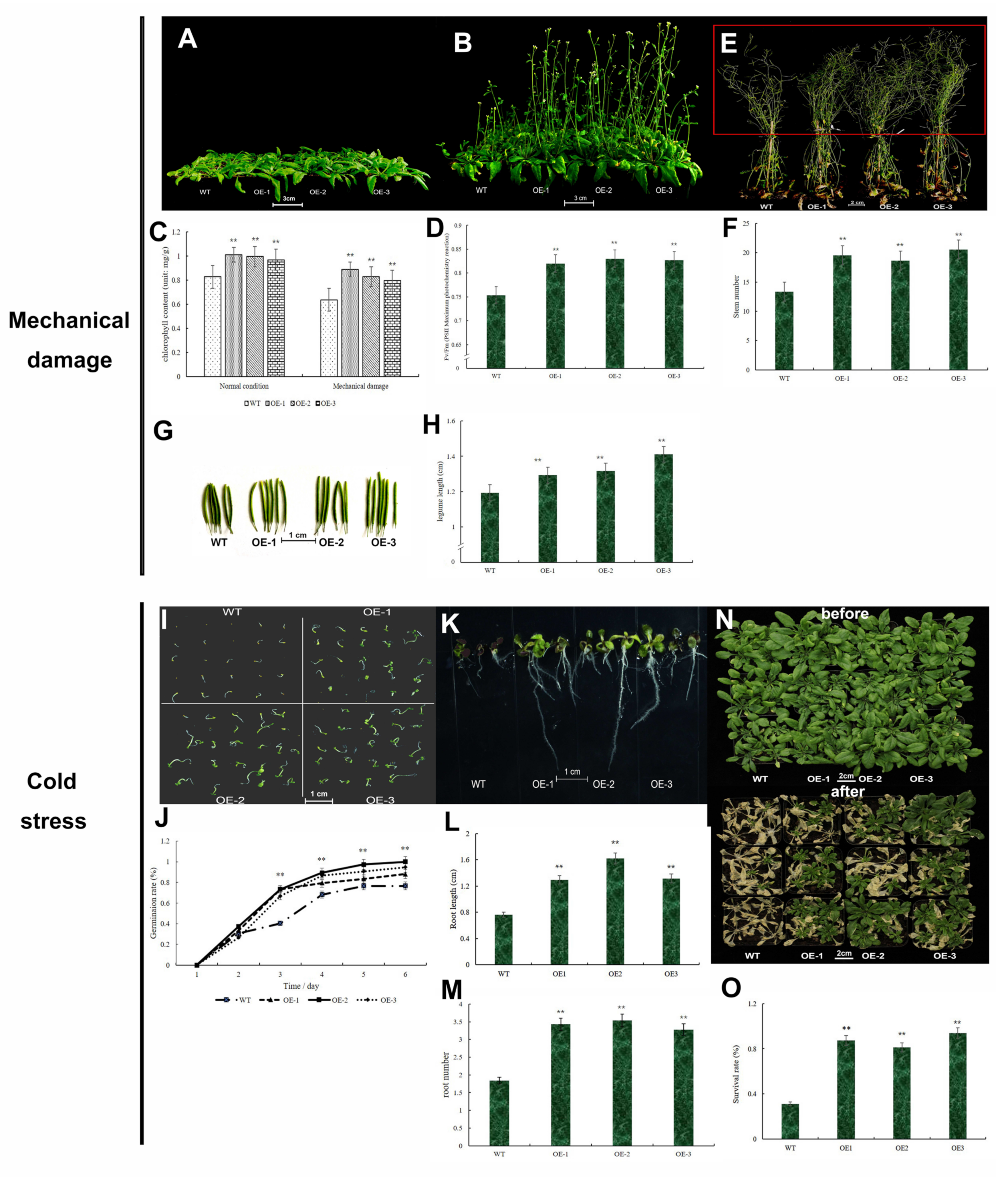 Ijms 23 15918 g009 Ijms 23 15918 g009