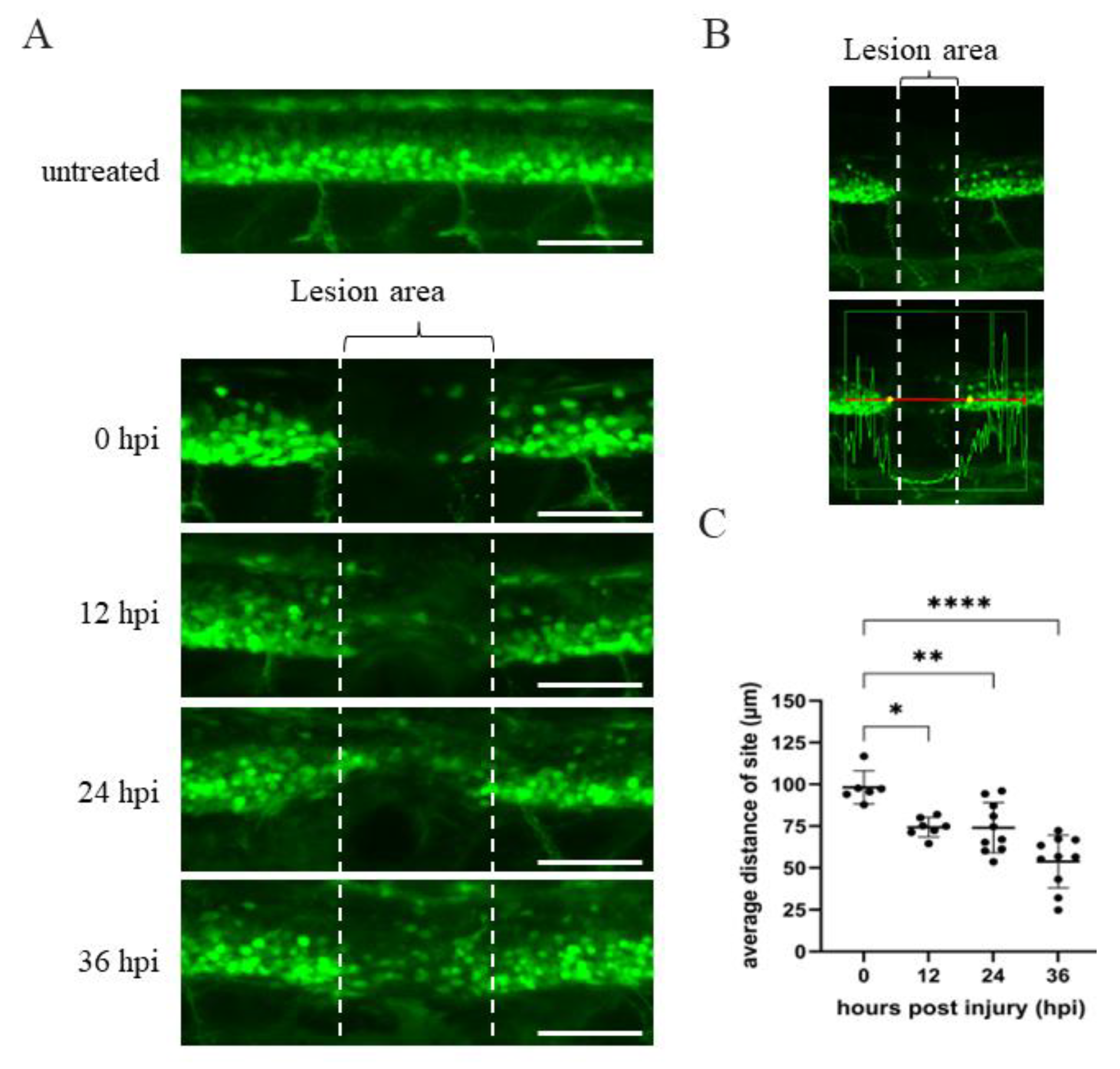 Ijms 23 15921 g001 Ijms 23 15921 g001