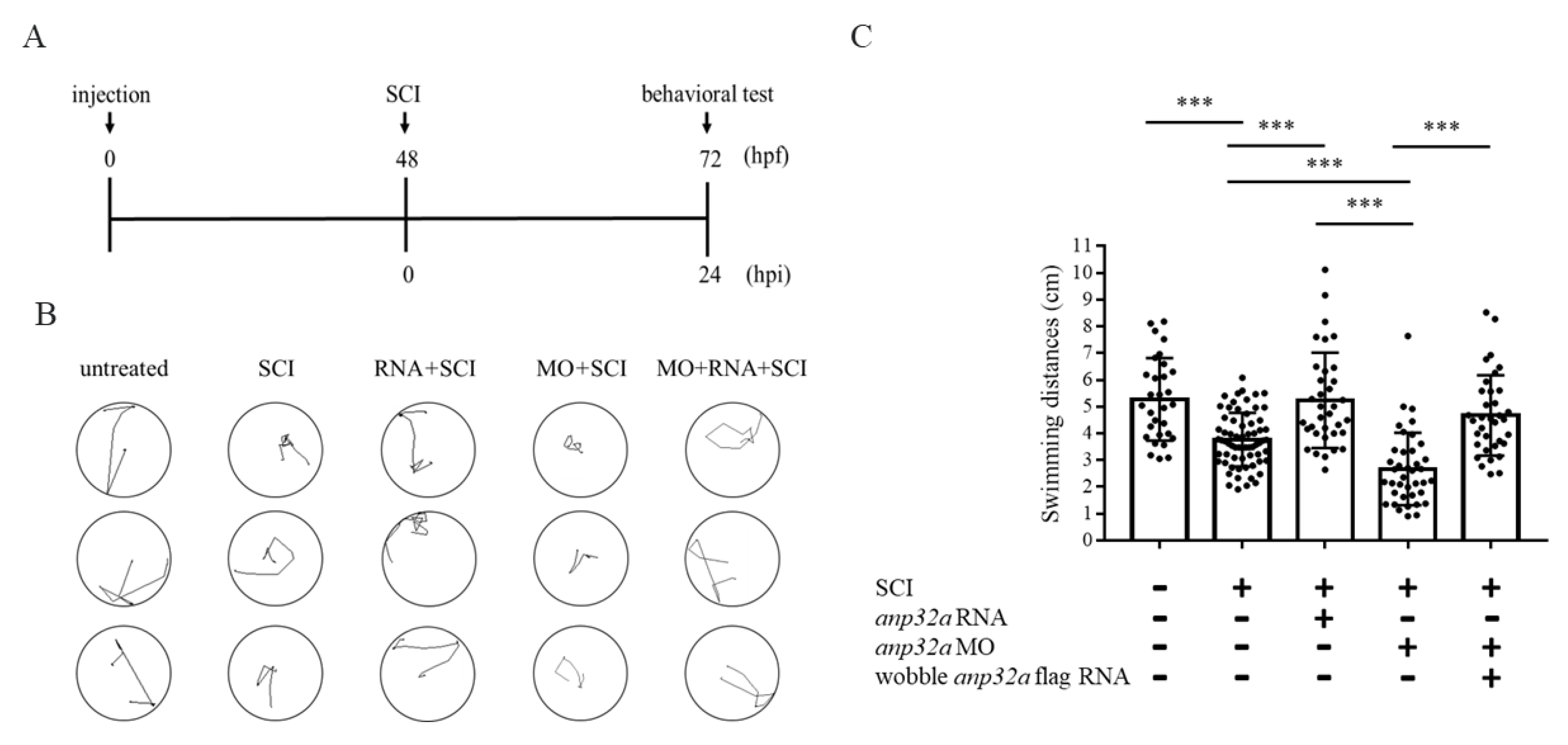 Ijms 23 15921 g004 Ijms 23 15921 g004