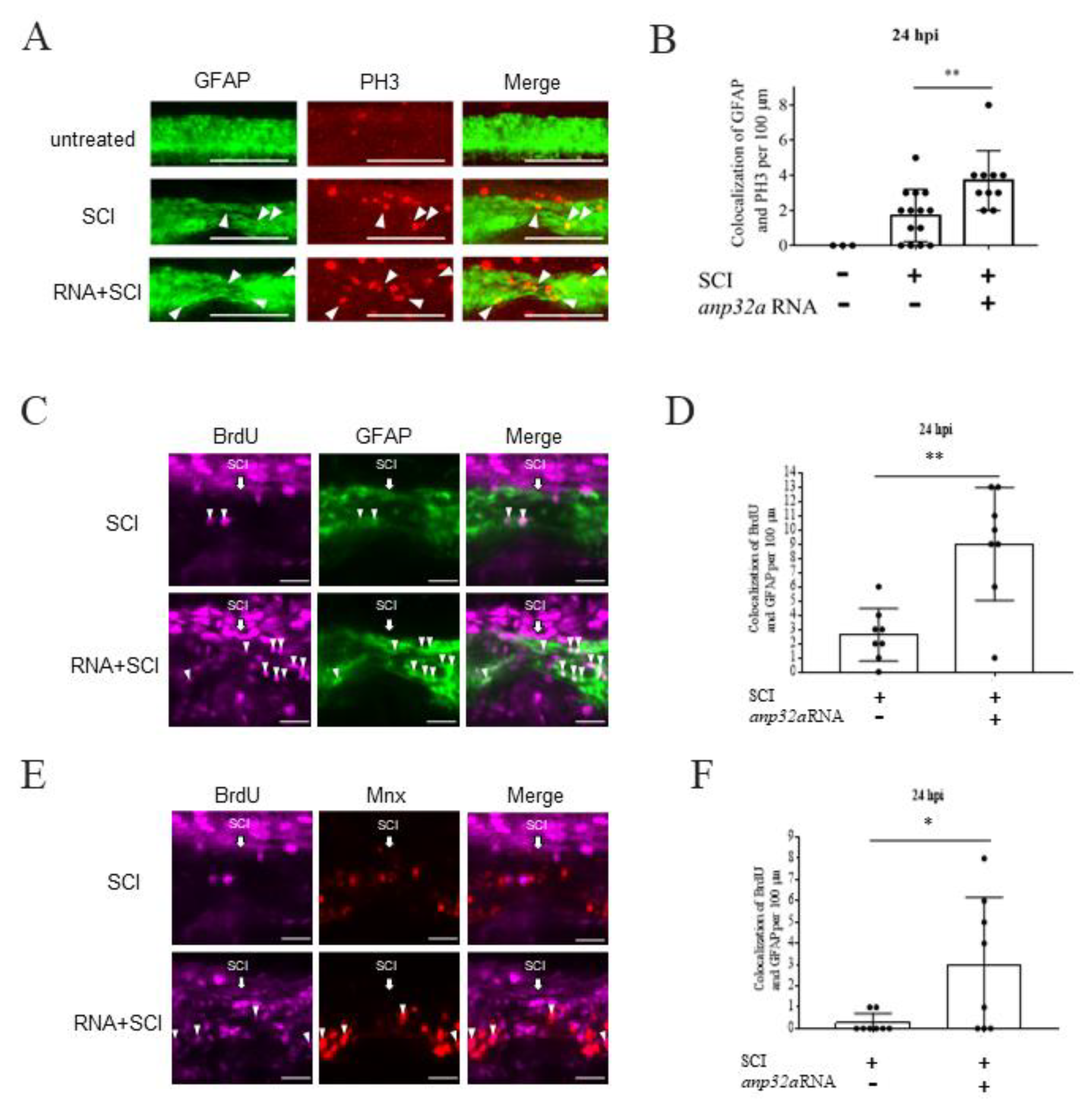 Ijms 23 15921 g008 Ijms 23 15921 g008