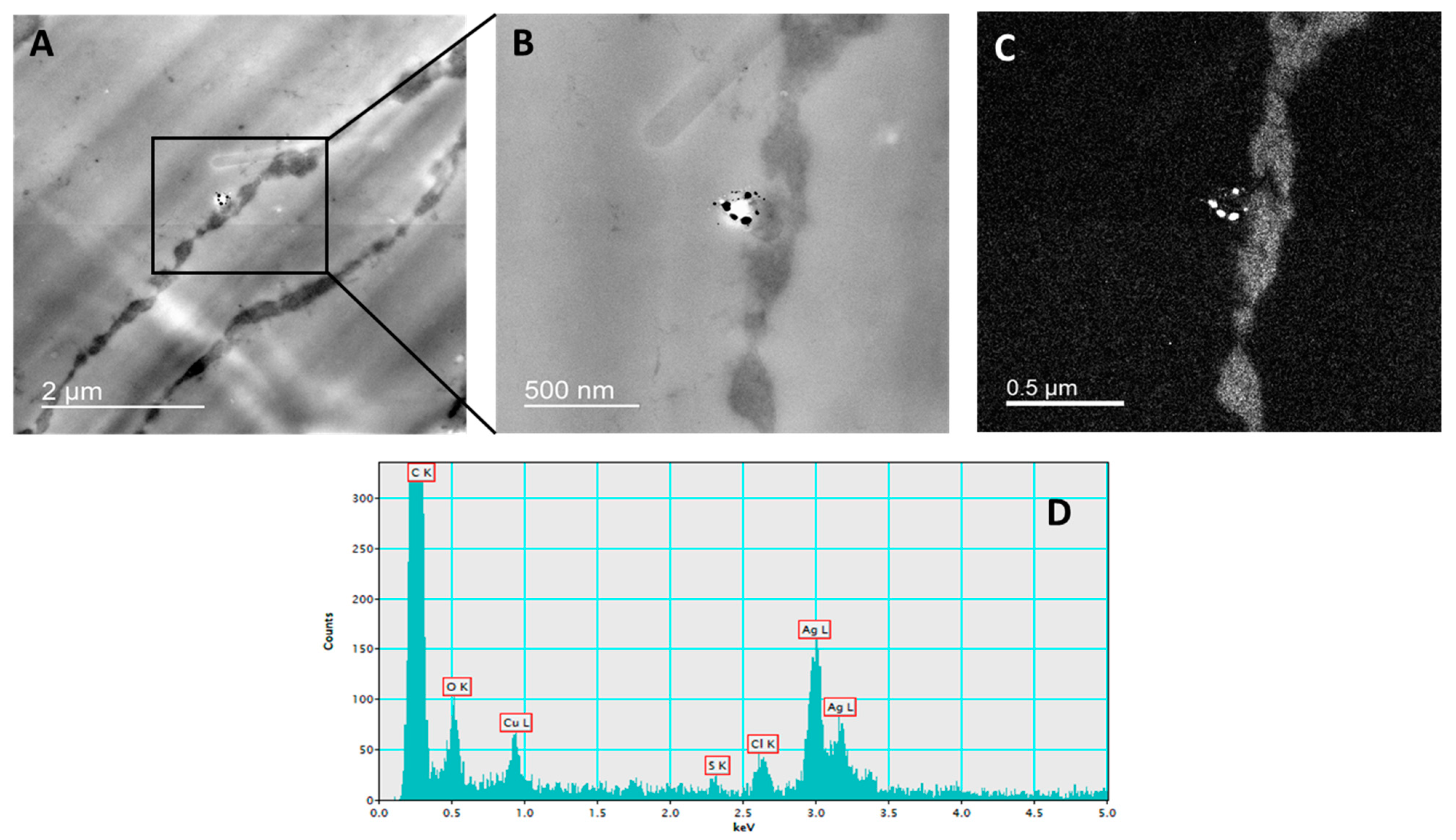 Ijms 23 15923 g001 Ijms 23 15923 g001