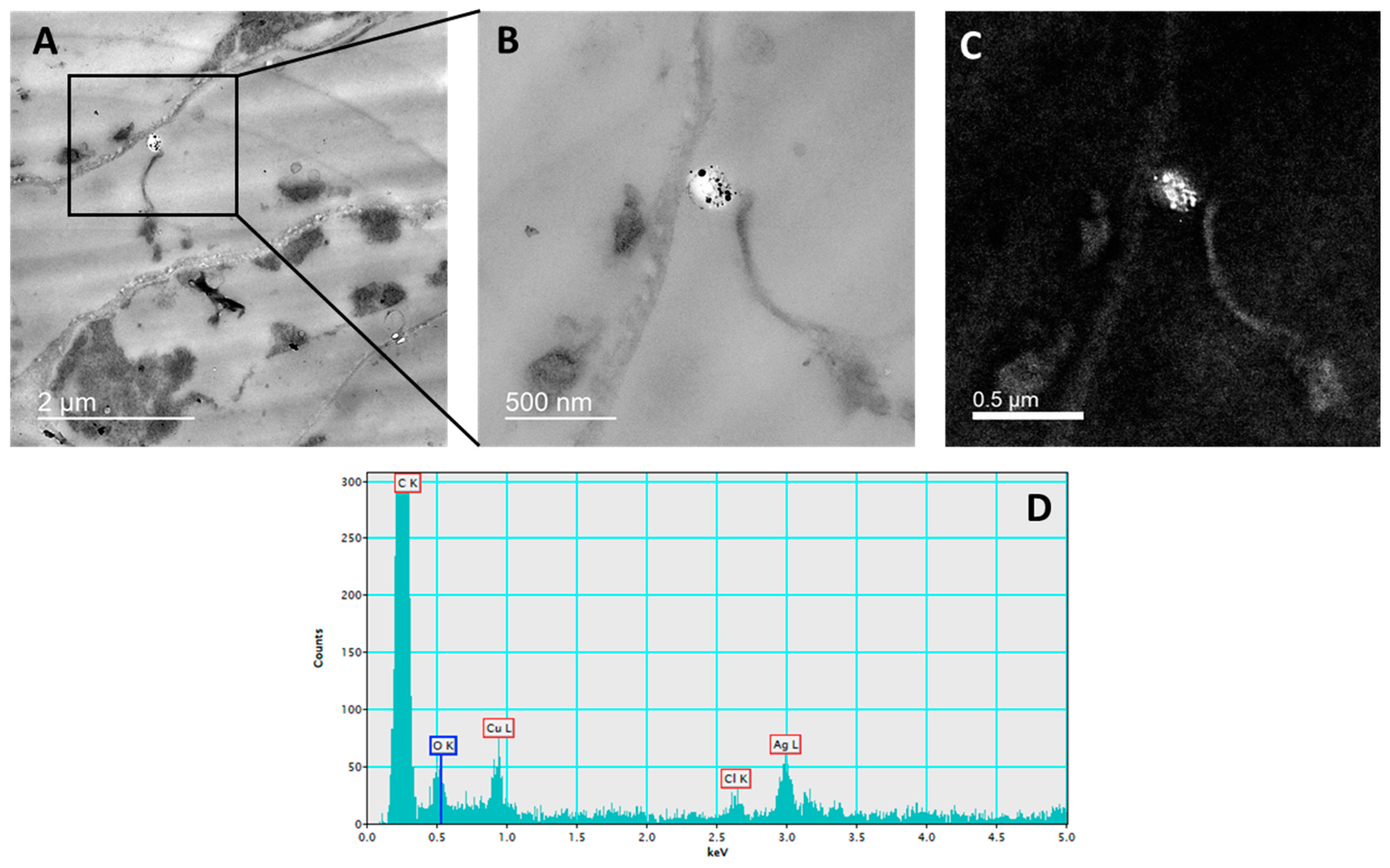 Ijms 23 15923 g002 Ijms 23 15923 g002