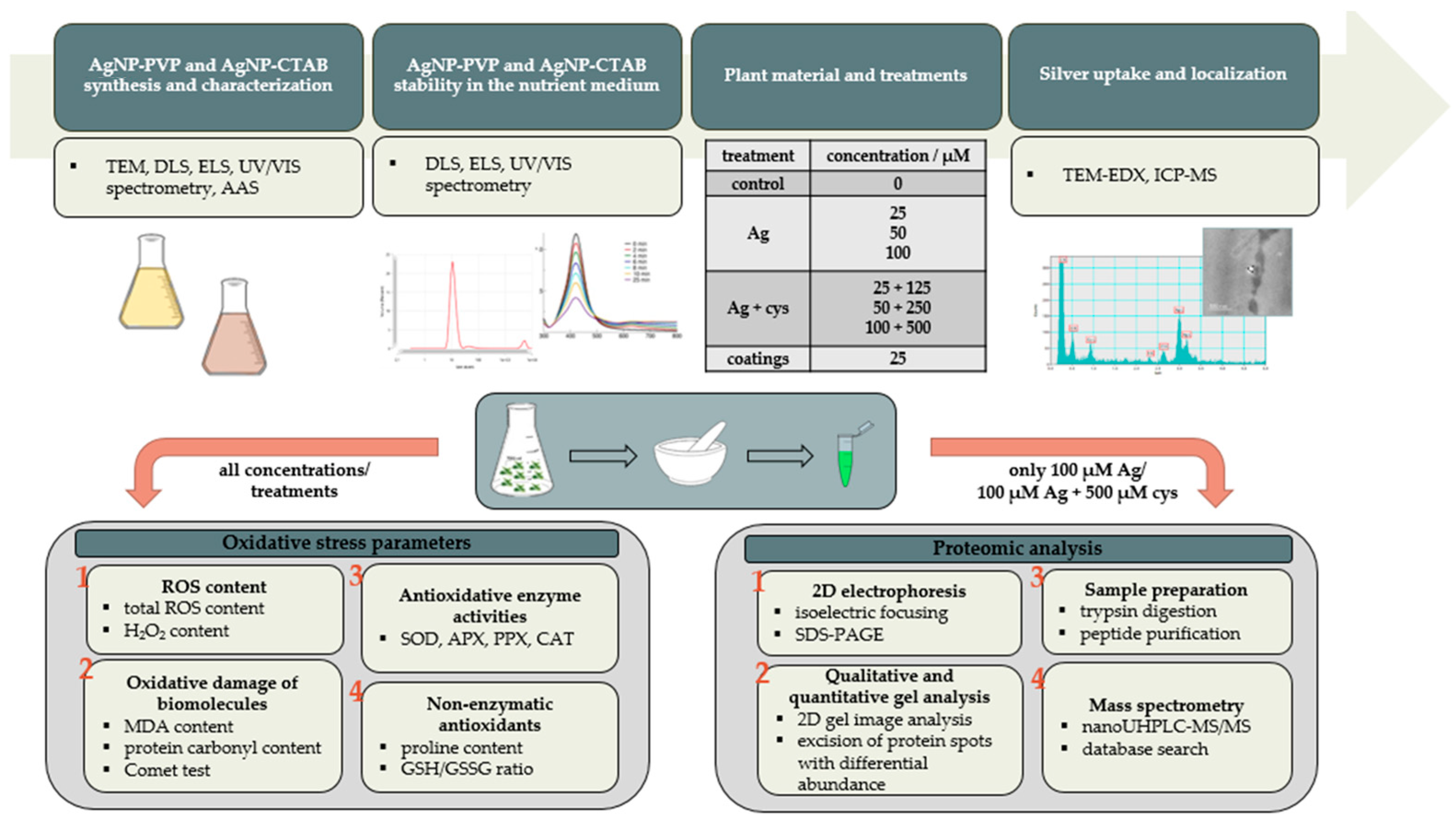 Ijms 23 15923 g009 Ijms 23 15923 g009